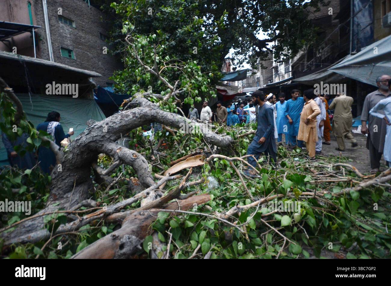 Peshawar, Peshawar, Pakistan. Mai 2025. PESHAWAR, PAKISTAN - 18. MAI: Ein schwerer Sturm ereignete sich am Sonntag, 18. MAI 2025 in der pakistanischen Stadt Peschawar.aufgrund des Sturms, während mehrere Bäume und Stromanschlüsse gestürzt wurden, fielen einige Dächer von Häusern herunter. Mindestens zwei Menschen wurden getötet und vier weitere verletzt, nachdem ein heftiger Sturm mehrere Jahrhunderte alte Bäume aus der Mogul-Ära entwurzelte. Der Sturm verursachte erhebliche Schäden an der Infrastruktur, was Bedenken hinsichtlich der Erhaltung des städtischen anc aufkommen ließ Stockfoto
