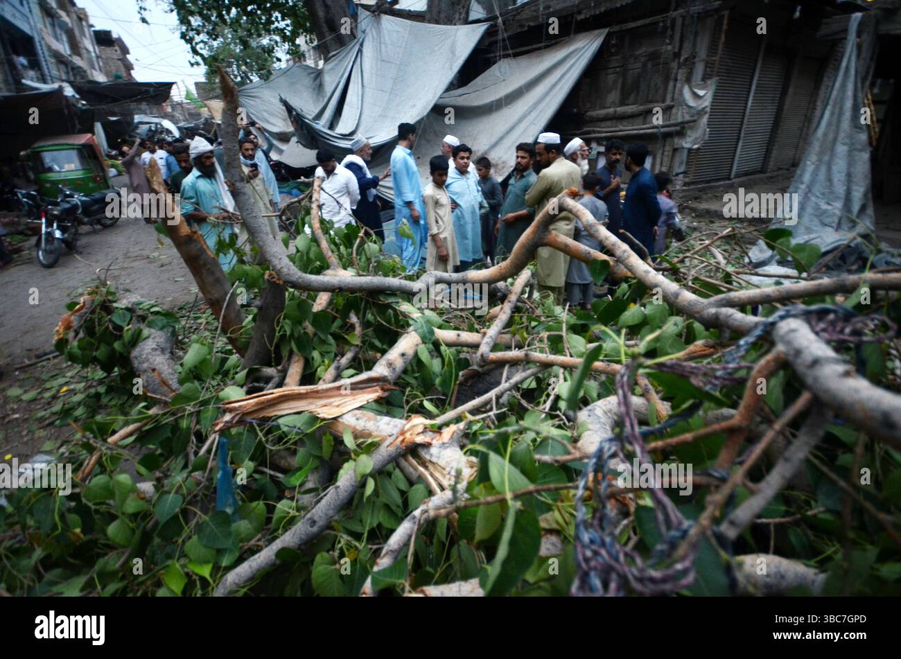 Peshawar, Peshawar, Pakistan. Mai 2025. PESHAWAR, PAKISTAN - 18. MAI: Ein schwerer Sturm ereignete sich am Sonntag, 18. MAI 2025 in der pakistanischen Stadt Peschawar.aufgrund des Sturms, während mehrere Bäume und Stromanschlüsse gestürzt wurden, fielen einige Dächer von Häusern herunter. Mindestens zwei Menschen wurden getötet und vier weitere verletzt, nachdem ein heftiger Sturm mehrere Jahrhunderte alte Bäume aus der Mogul-Ära entwurzelte. Der Sturm verursachte erhebliche Schäden an der Infrastruktur, was Bedenken hinsichtlich der Erhaltung des städtischen anc aufkommen ließ Stockfoto