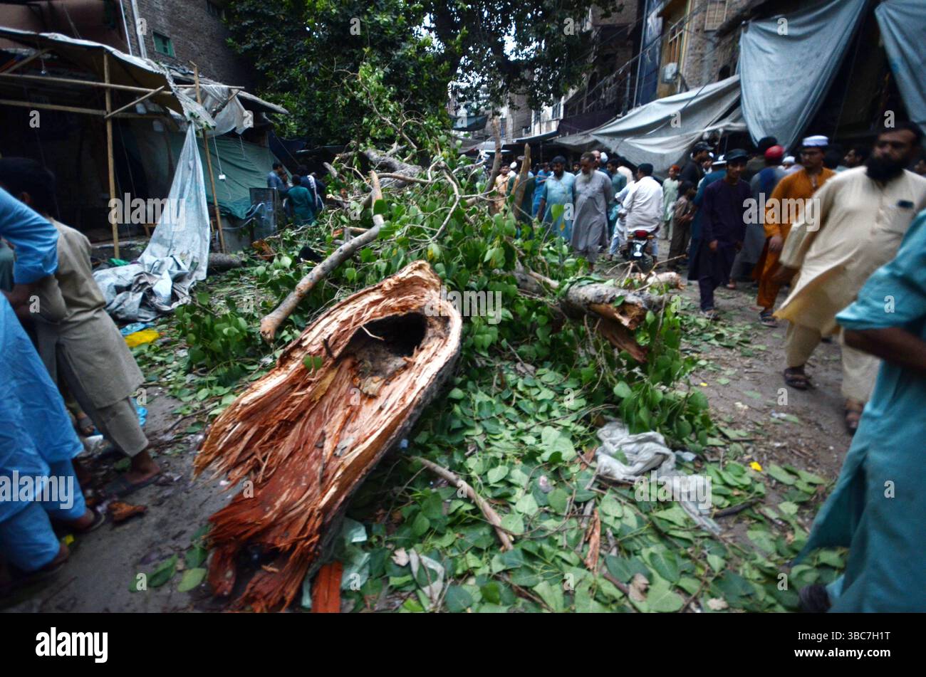 Peshawar, Peshawar, Pakistan. Mai 2025. PESHAWAR, PAKISTAN - 18. MAI: Ein schwerer Sturm ereignete sich am Sonntag, 18. MAI 2025 in der pakistanischen Stadt Peschawar.aufgrund des Sturms, während mehrere Bäume und Stromanschlüsse gestürzt wurden, fielen einige Dächer von Häusern herunter. Mindestens zwei Menschen wurden getötet und vier weitere verletzt, nachdem ein heftiger Sturm mehrere Jahrhunderte alte Bäume aus der Mogul-Ära entwurzelte. Der Sturm verursachte erhebliche Schäden an der Infrastruktur, was Bedenken hinsichtlich der Erhaltung des städtischen anc aufkommen ließ Stockfoto