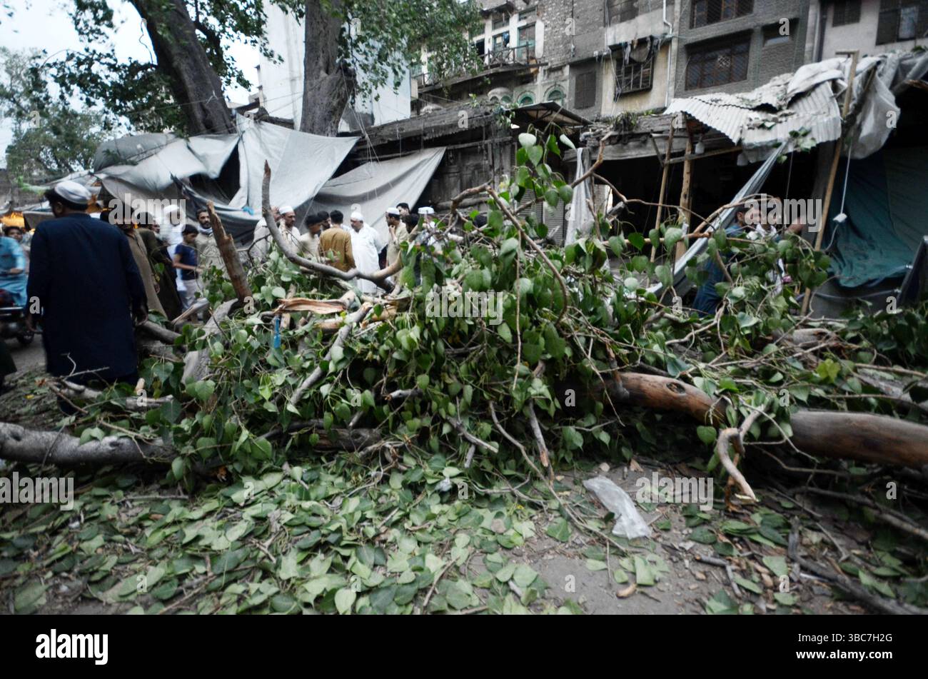 Peshawar, Peshawar, Pakistan. Mai 2025. PESHAWAR, PAKISTAN - 18. MAI: Ein schwerer Sturm ereignete sich am Sonntag, 18. MAI 2025 in der pakistanischen Stadt Peschawar.aufgrund des Sturms, während mehrere Bäume und Stromanschlüsse gestürzt wurden, fielen einige Dächer von Häusern herunter. Mindestens zwei Menschen wurden getötet und vier weitere verletzt, nachdem ein heftiger Sturm mehrere Jahrhunderte alte Bäume aus der Mogul-Ära entwurzelte. Der Sturm verursachte erhebliche Schäden an der Infrastruktur, was Bedenken hinsichtlich der Erhaltung des städtischen anc aufkommen ließ Stockfoto