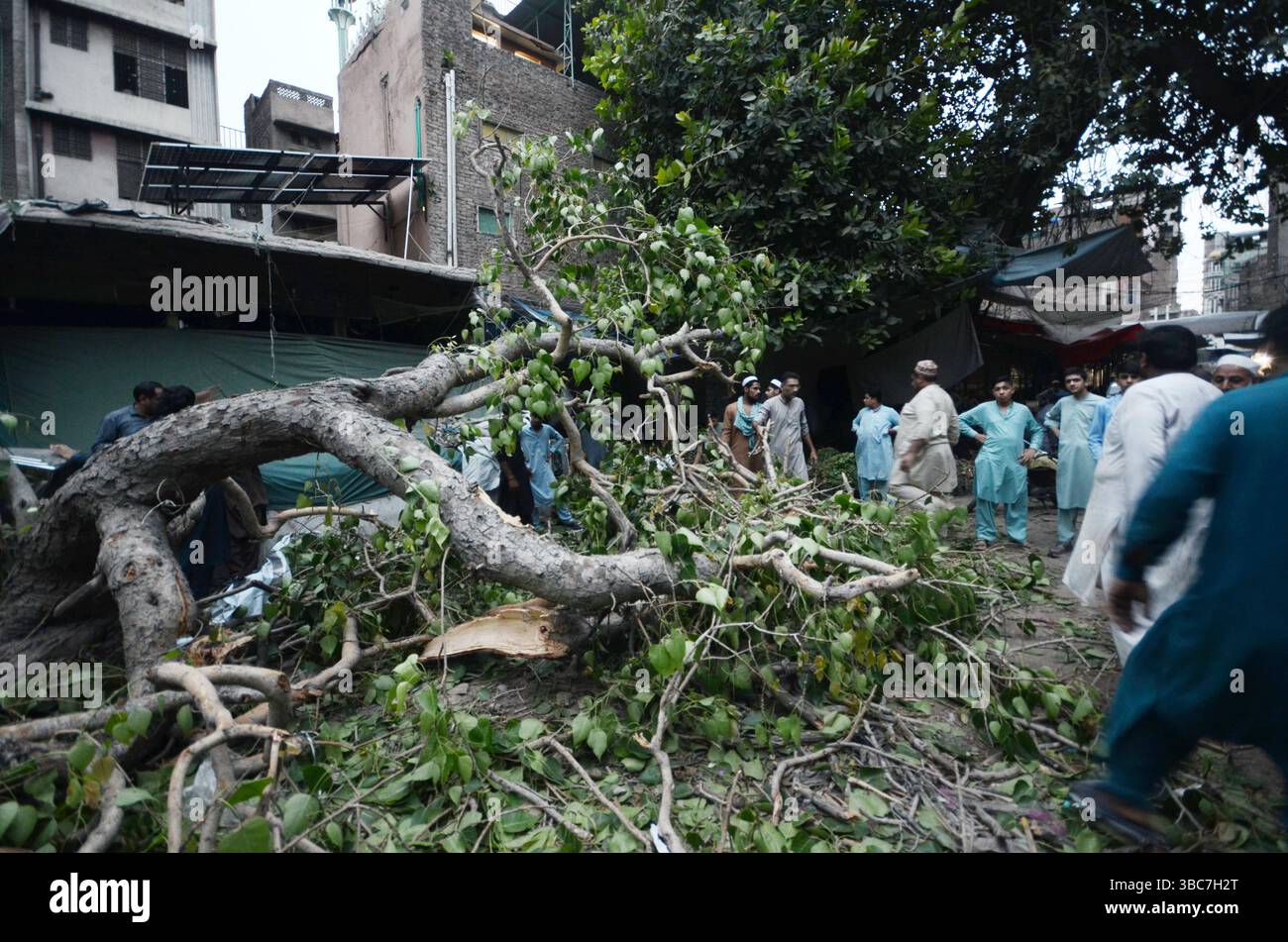 Peshawar, Peshawar, Pakistan. Mai 2025. PESHAWAR, PAKISTAN - 18. MAI: Ein schwerer Sturm ereignete sich am Sonntag, 18. MAI 2025 in der pakistanischen Stadt Peschawar.aufgrund des Sturms, während mehrere Bäume und Stromanschlüsse gestürzt wurden, fielen einige Dächer von Häusern herunter. Mindestens zwei Menschen wurden getötet und vier weitere verletzt, nachdem ein heftiger Sturm mehrere Jahrhunderte alte Bäume aus der Mogul-Ära entwurzelte. Der Sturm verursachte erhebliche Schäden an der Infrastruktur, was Bedenken hinsichtlich der Erhaltung des städtischen anc aufkommen ließ Stockfoto