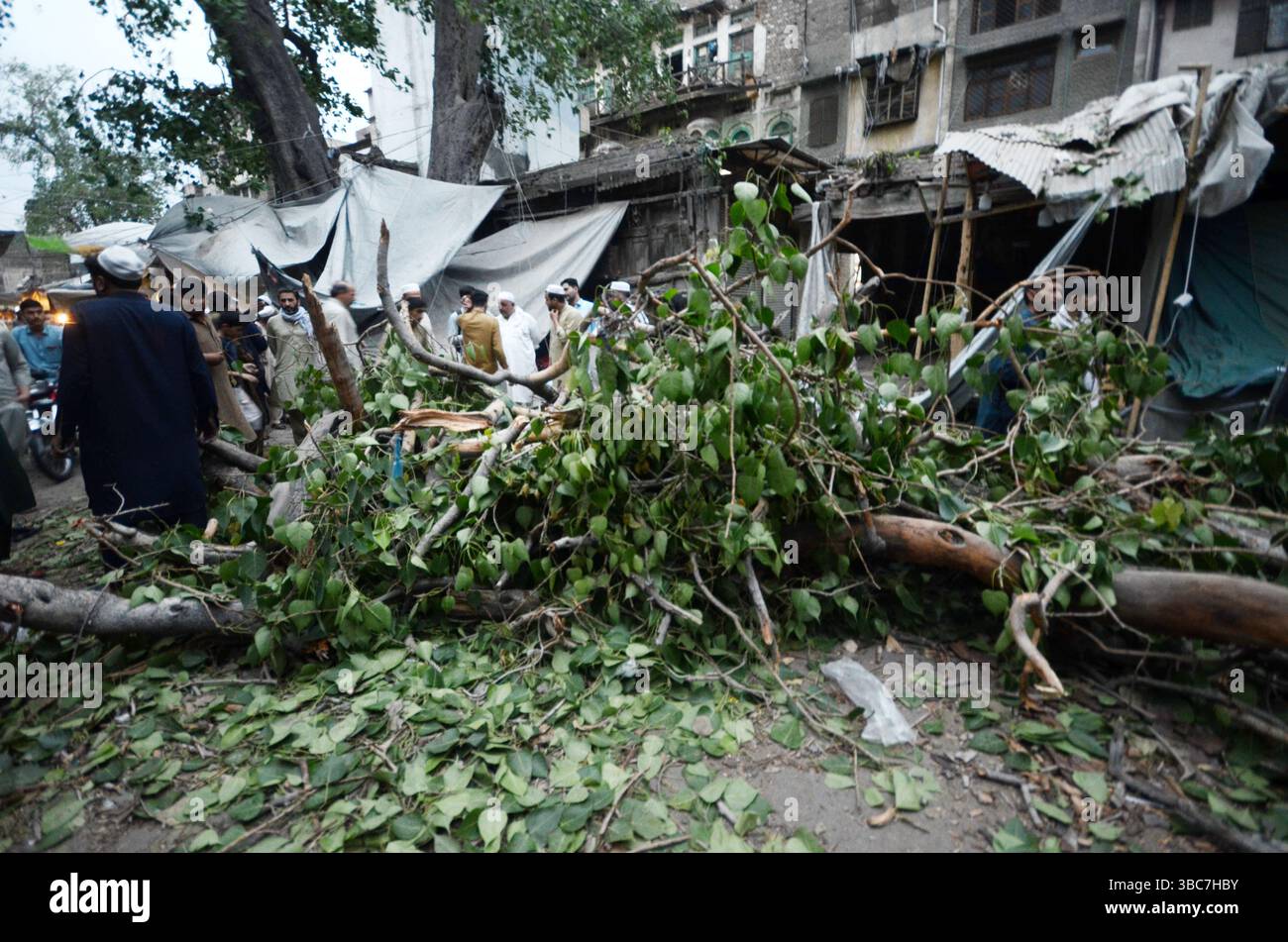 Peshawar, Peshawar, Pakistan. Mai 2025. PESHAWAR, PAKISTAN - 18. MAI: Ein schwerer Sturm ereignete sich am Sonntag, 18. MAI 2025 in der pakistanischen Stadt Peschawar.aufgrund des Sturms, während mehrere Bäume und Stromanschlüsse gestürzt wurden, fielen einige Dächer von Häusern herunter. Mindestens zwei Menschen wurden getötet und vier weitere verletzt, nachdem ein heftiger Sturm mehrere Jahrhunderte alte Bäume aus der Mogul-Ära entwurzelte. Der Sturm verursachte erhebliche Schäden an der Infrastruktur, was Bedenken hinsichtlich der Erhaltung des städtischen anc aufkommen ließ Stockfoto