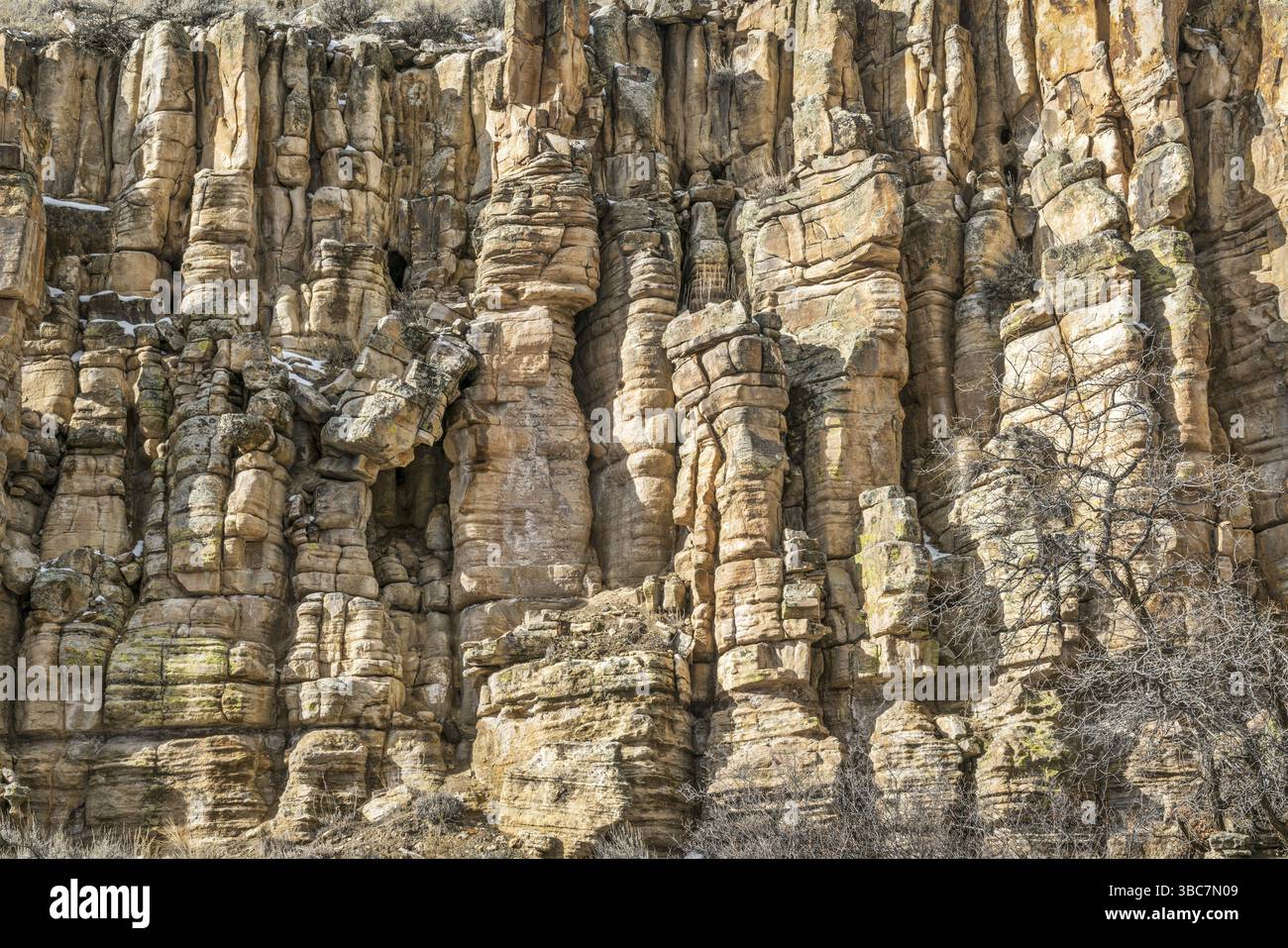 Sandsteinklippe mit Säulen und Säulen, Colorado in der Nähe der State Bridge Stockfoto