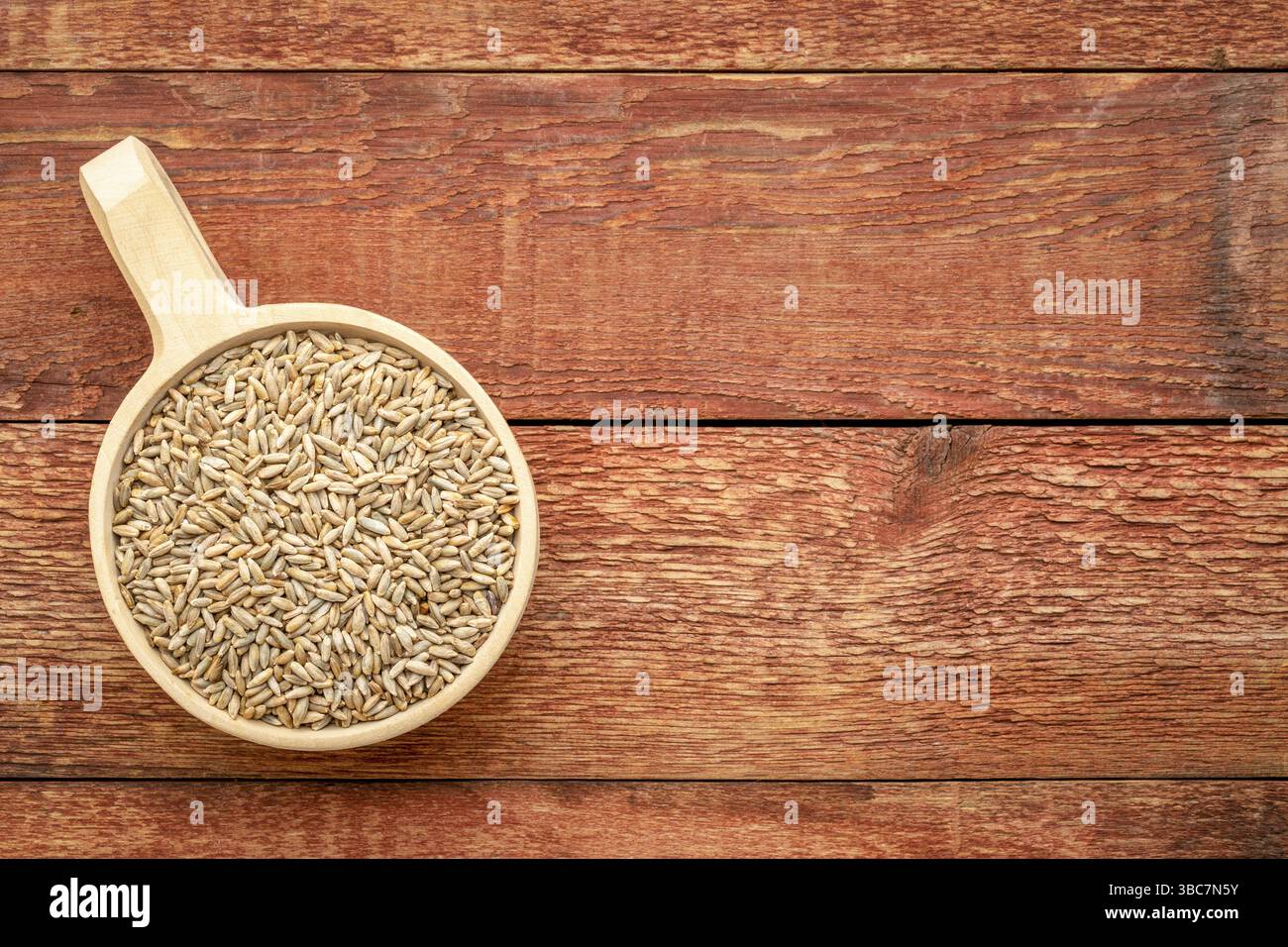 Bio-Roggenbeeren in runder Holzschokolade auf rustikalem Scheunenholz mit Kopierraum Stockfoto