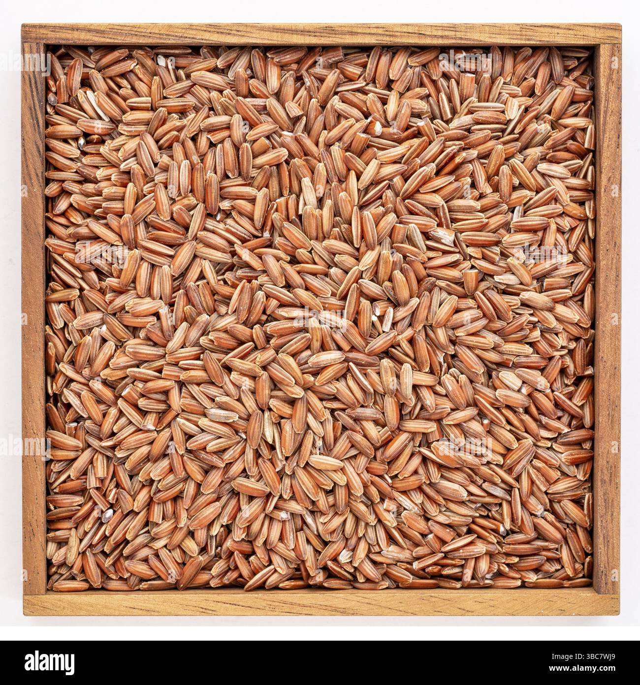 Braunes Reiskorn in einer isolierten Holzkiste Stockfoto