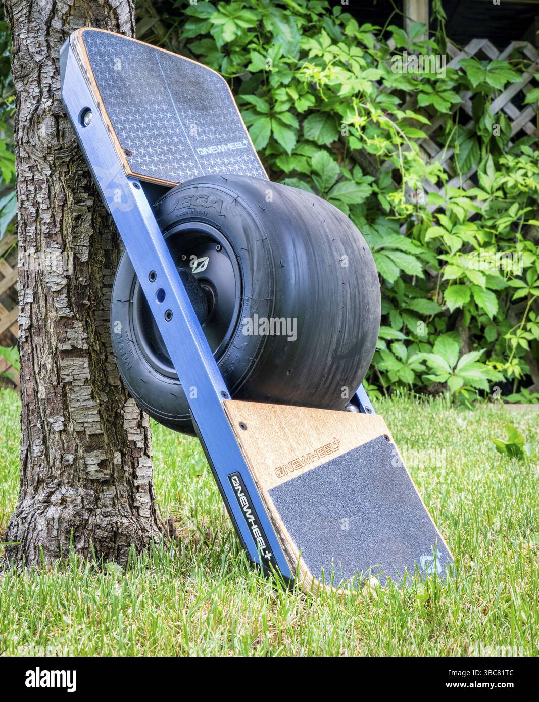 Fort Collins, CO, USA – 16. Juni 2018: Onewheel, ein selbstausbalanciertes Elektro-Skate-Board (+XR-Modell) von Future Motion auf Gras in einem Hinterhof Stockfoto