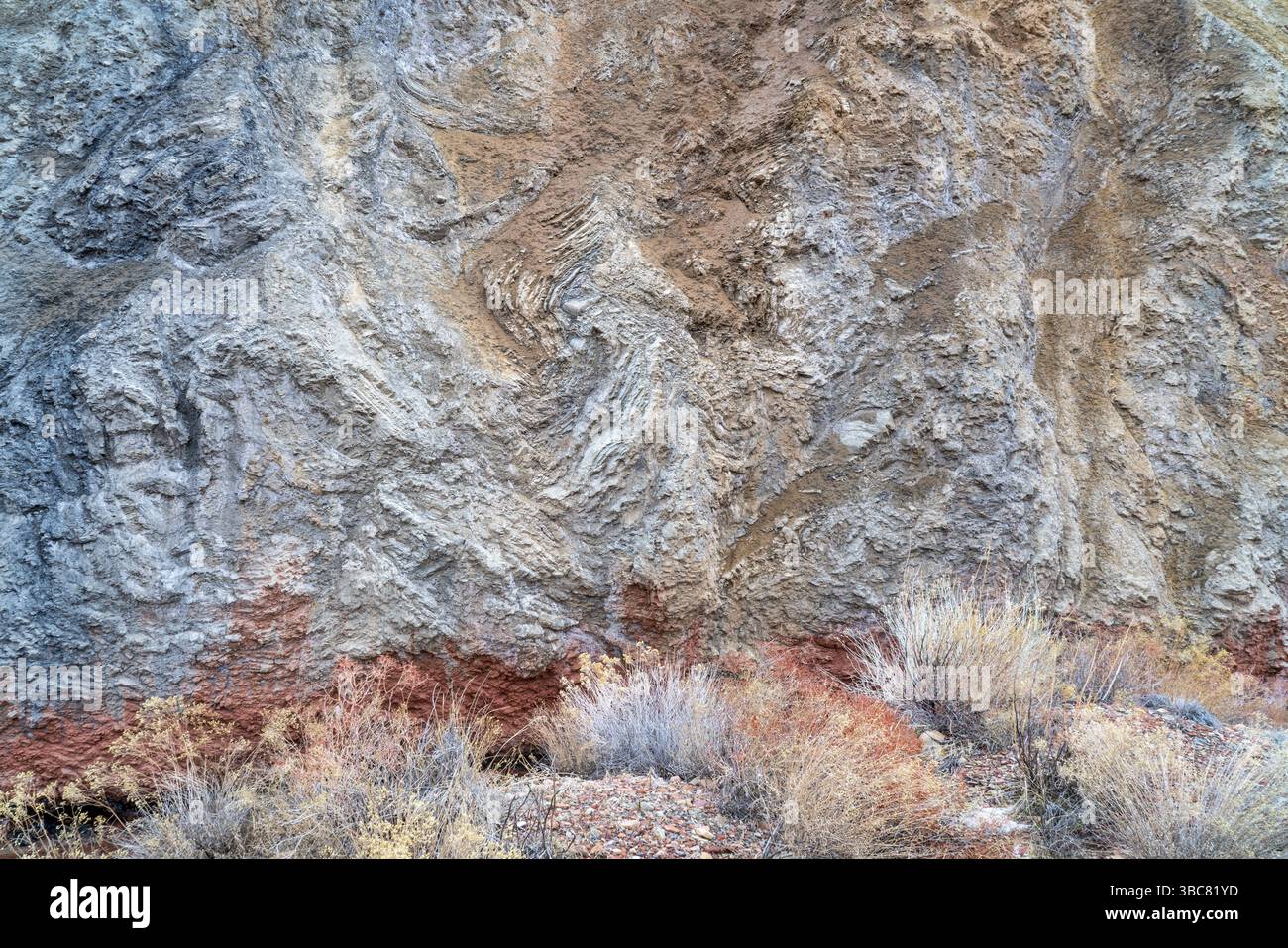 Felsformation und steile Felswand mit Wüstenvegetation entlang Des Onion Creek in Moab-Gebiet, Utah Stockfoto