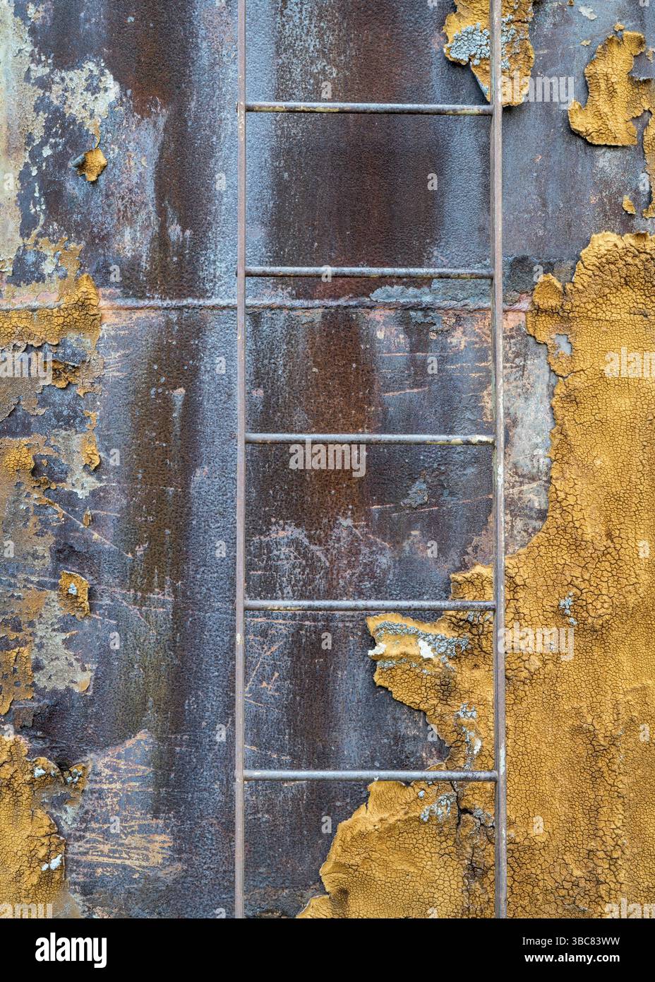 Metallleiter auf dem alten Wassertank, bedeckt mit Flechten in der Wüste von Ost-Utah Stockfoto