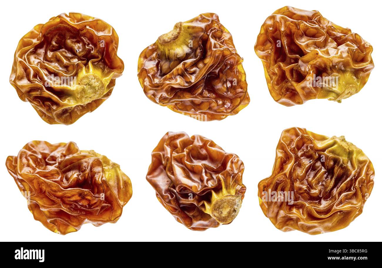 Goldenberry Superfruit aus Peru - ein Satz von sechs getrockneten Beeren, isoliert mit Schnittpfaden Stockfoto