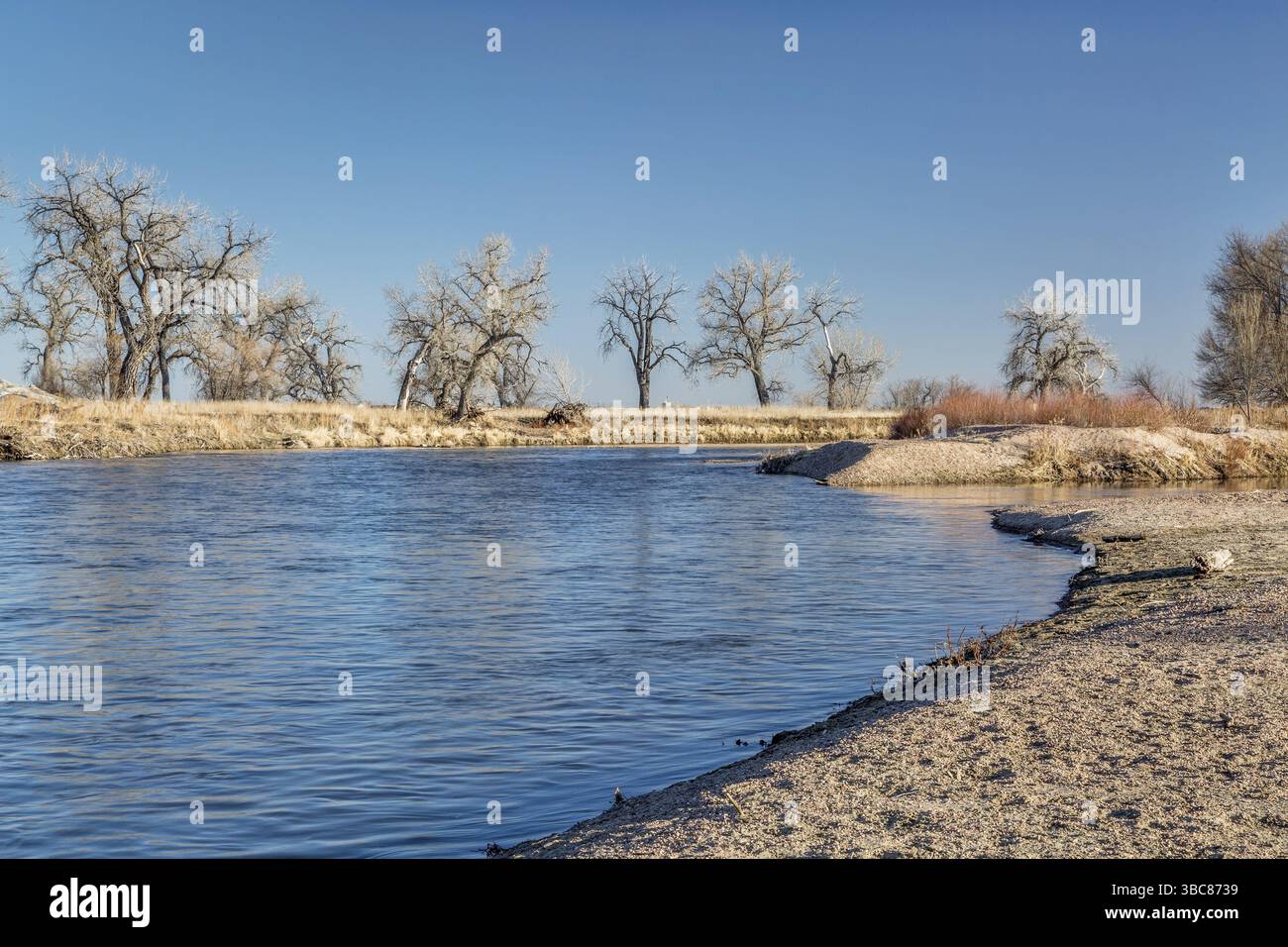South Platte River im Osten von Colorado unterhalb von Platteville, einer typischen Winterlandschaft mit freiliegenden Sandbänken Stockfoto