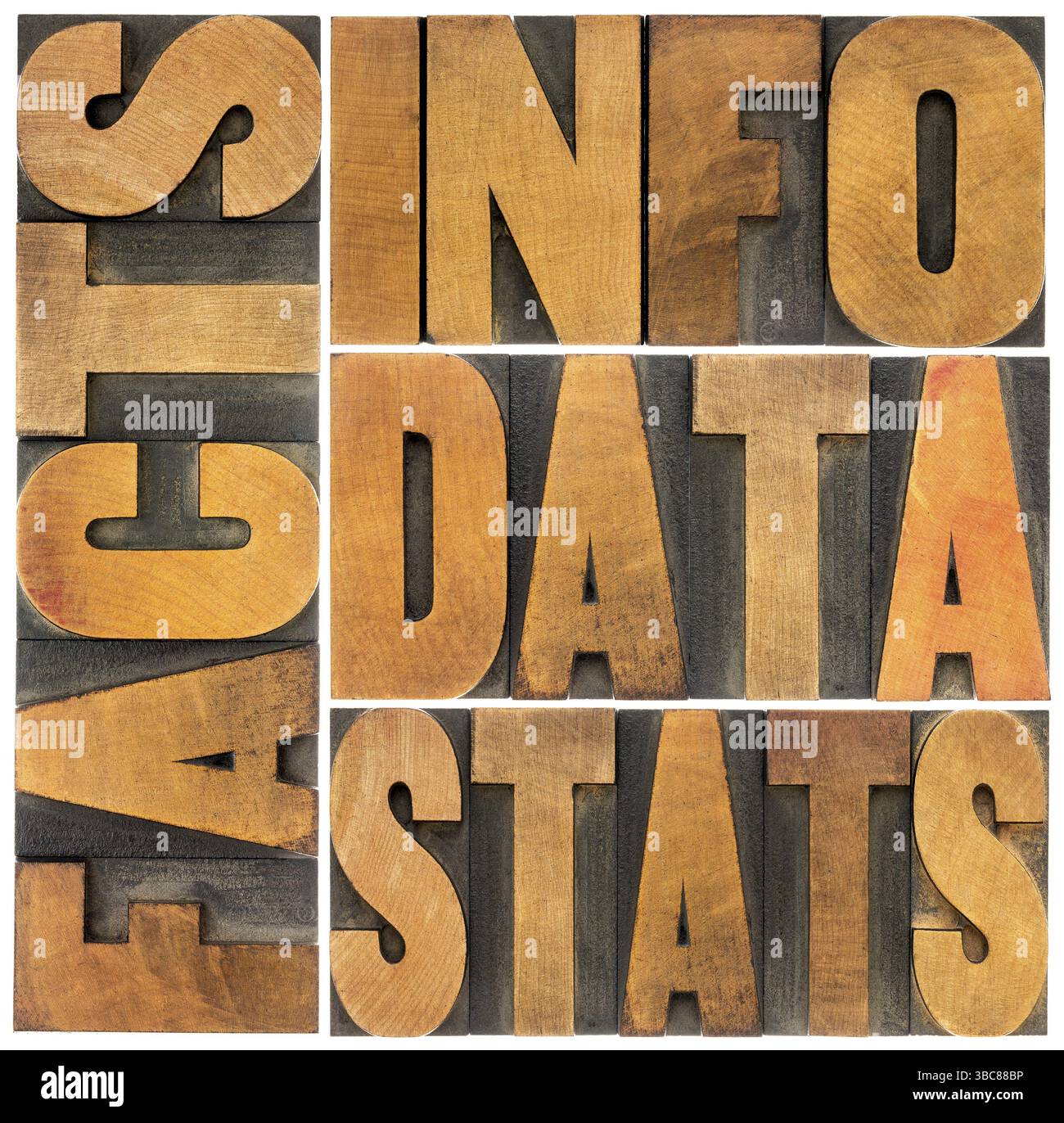 Informationen, Daten, Fakten, Statistiken Wortabstrakt - isolierter Text in Vintage-Buchdruck-Holzdruckblöcken Stockfoto