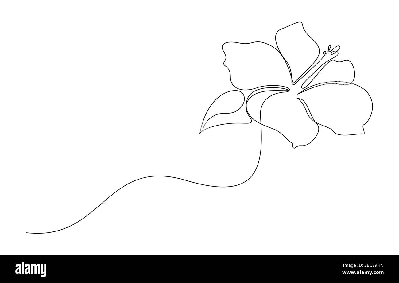 Hibiskus-Blume-Einzelzeilenzeichnung, Stock Vektor