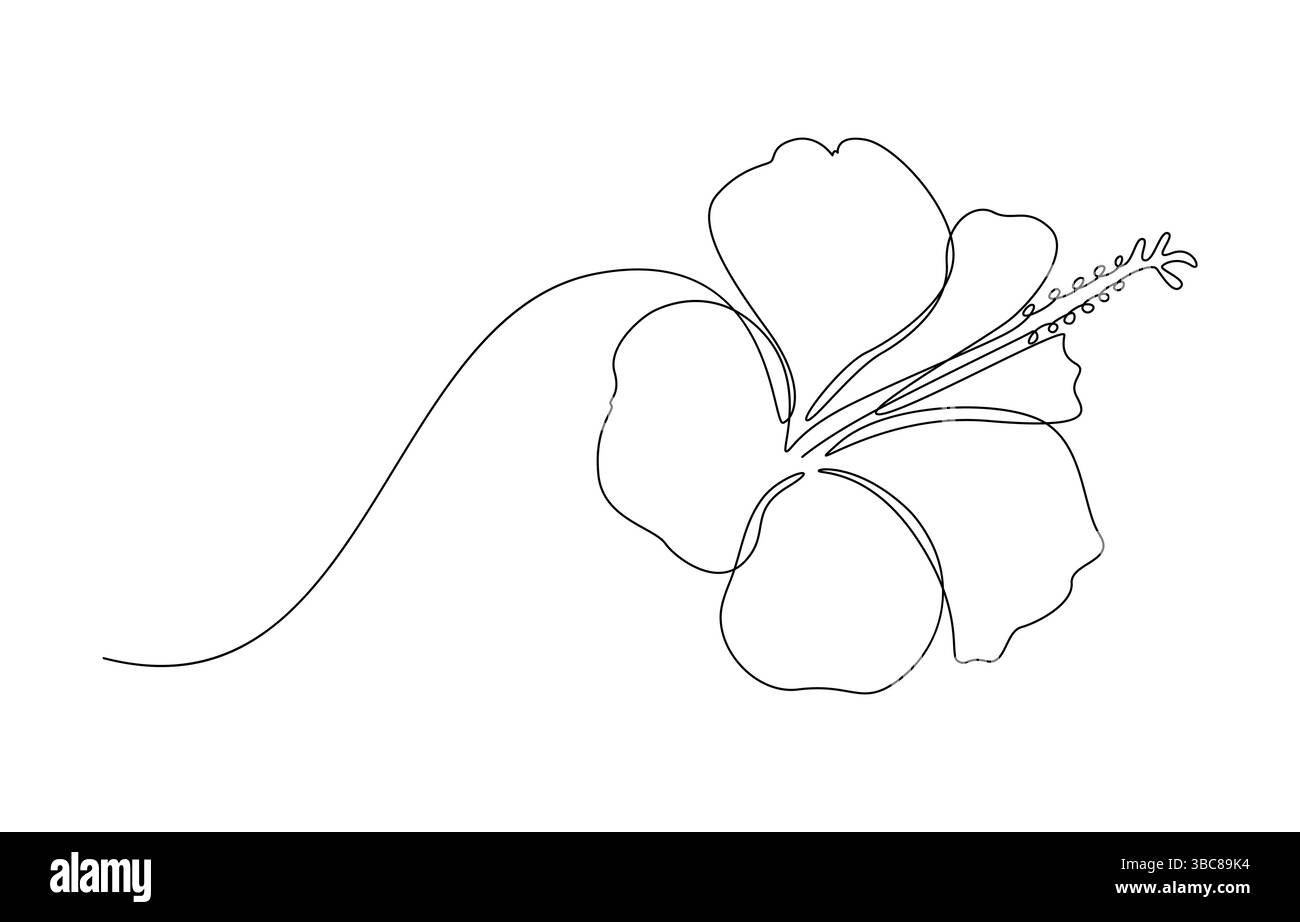 Hibiskus-Blume-Einzelzeilenzeichnung, Stock Vektor