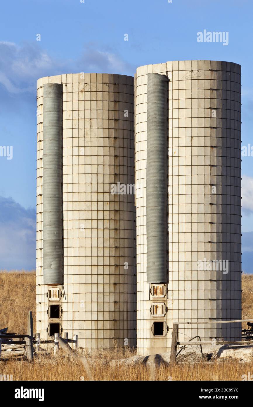Zwei alte zylindrische Silos auf einer verlassenen Farm im Osten von Colorado Stockfoto