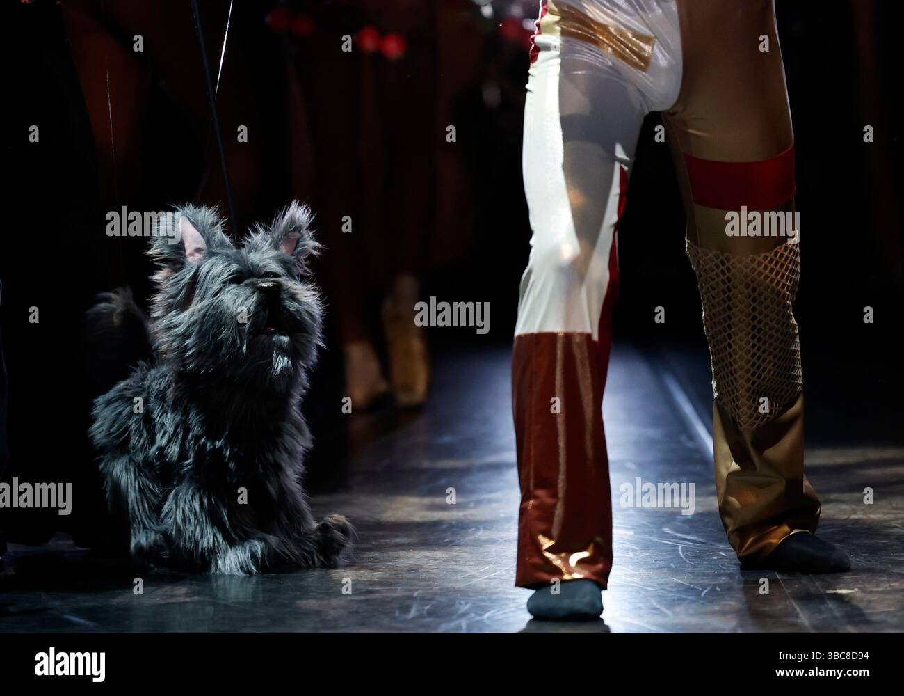 Queens, Usa. Mai 2025. Ein Puppeteer hält die Puppe in der Rolle des Toto während einer Aufführung auf der Bühne, als die Joffrey Ballet School Children's & Youth Ballet Programs am Sonntag, den 18. Mai 2025 in New York City im LaGuardia Performing Arts Center die innovative Nacherzählung des Klassikers The Wonderful Wizard of Oz präsentieren. Foto: John Angelillo/UPI Credit: UPI/Alamy Live News Stockfoto