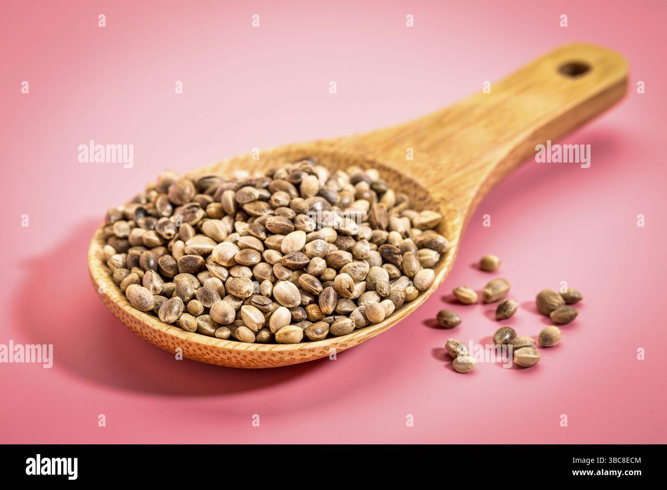Ein Holzlöffel aus getrockneten Bio-Hanfsamen auf rosa Hintergrund Stockfoto