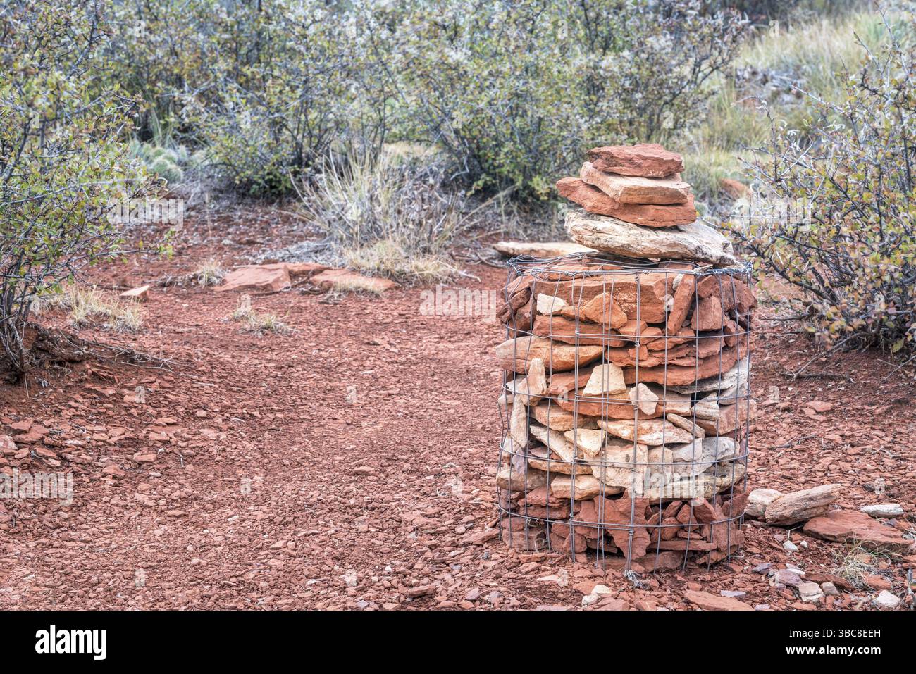 Steinkraut auf einem Bergwanderweg im Norden von Colorado (Red Mountain Open Space) Stockfoto