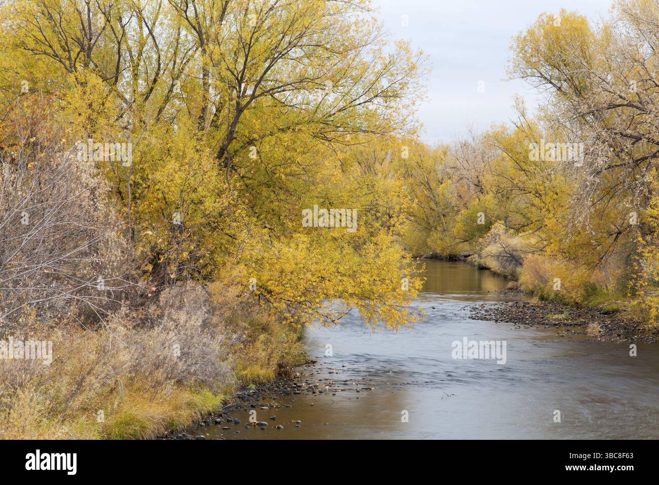 Cache La Poudre River in Fort Collins, Colorado, Spätherbst Landschaft Stockfoto