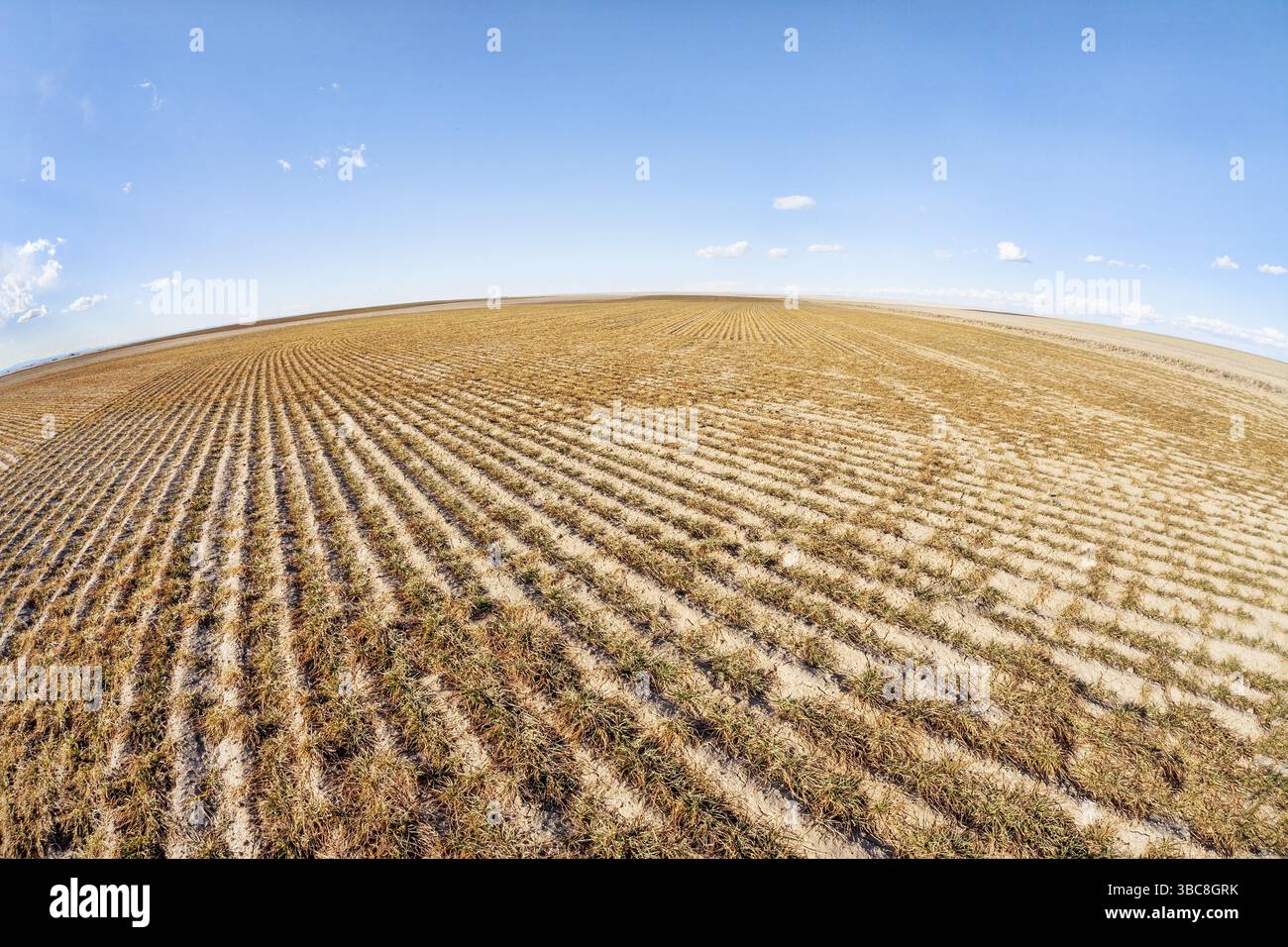 Eastern Colorado Pflugfeld in Fischaugenperspektive Stockfoto