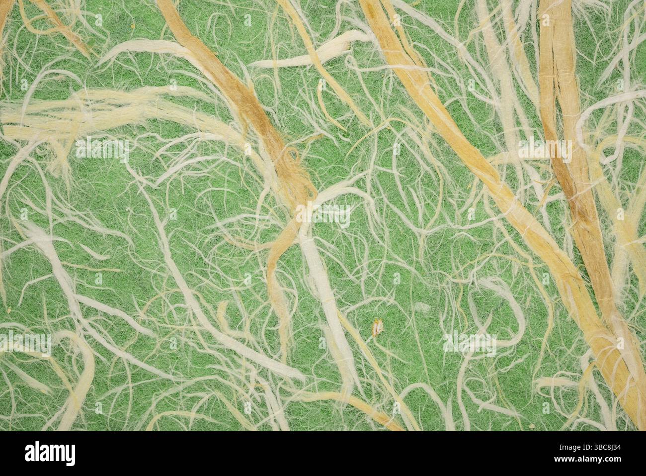 Natürliche Thai Mulberry kozo Papier gegen grüner Hintergrund Stockfoto