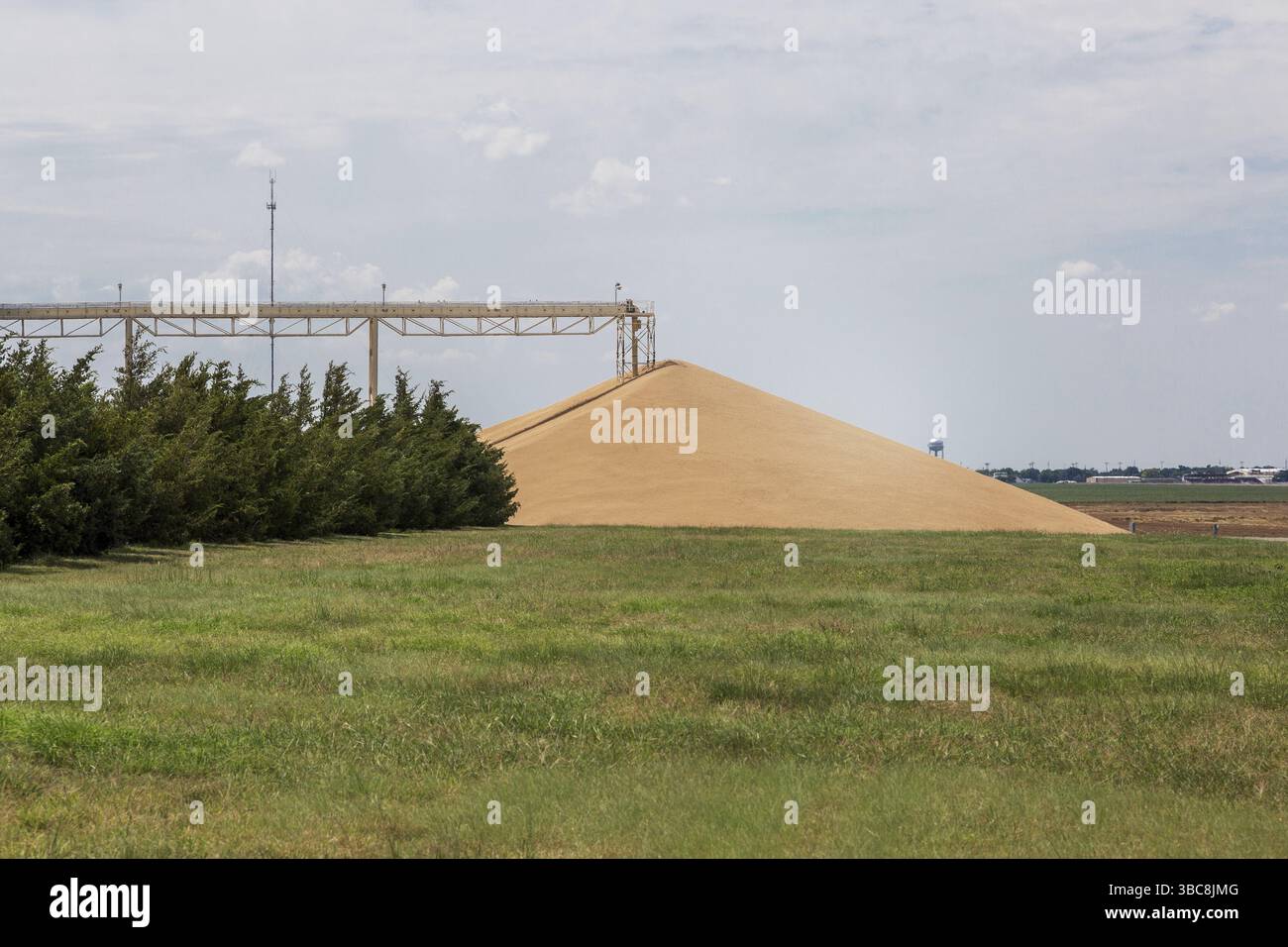 Großer Haufen harter roter Winterweizen am Getreideaufzug im Hinterland von Kansas – Landwirtschaftslandschaft Stockfoto