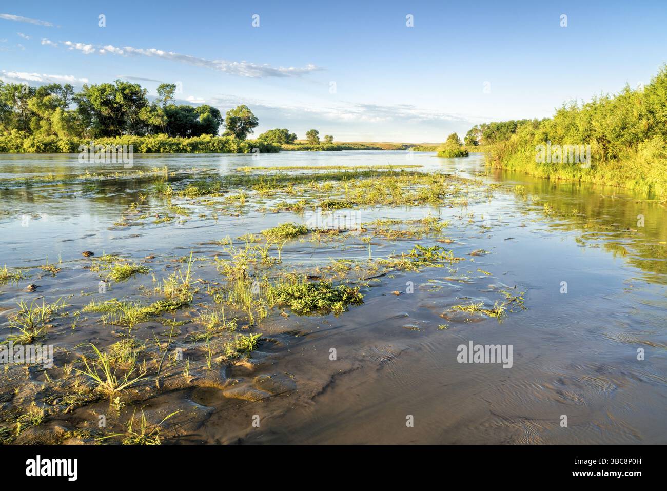 Seichte und breite Dismal River schlängelt sich durch die Nebraska Sandhills im Nebraska National Forest, Sommerlandschaft Stockfoto
