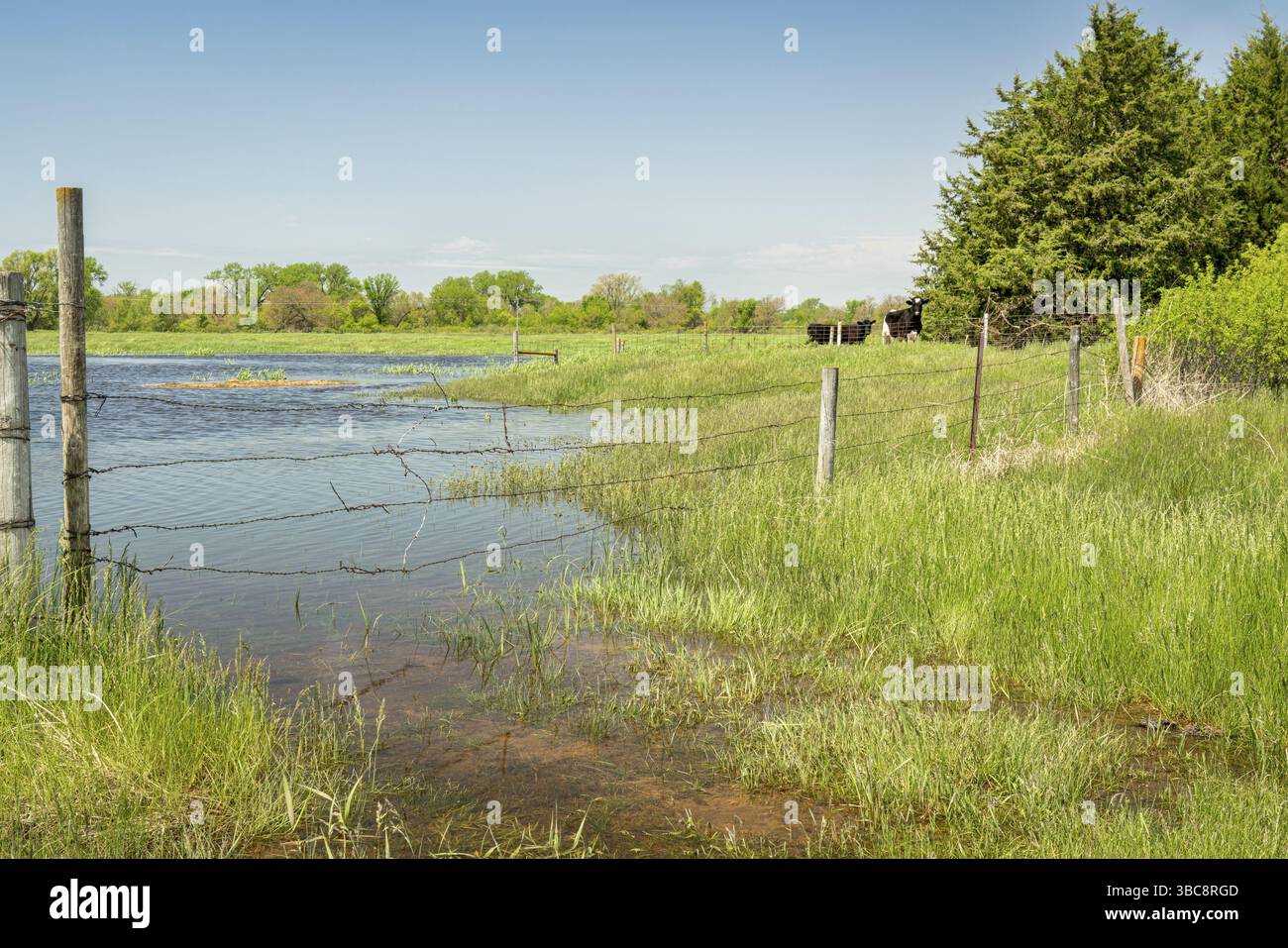 Überschwemmte Felder in Nebraska entlang der Elkhorn River Stockfoto