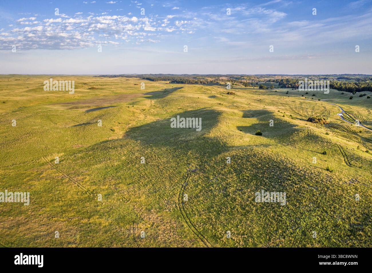 Sommersonnenaufgang über den Nebraska Sandhills im Nebraska National Forest Stockfoto