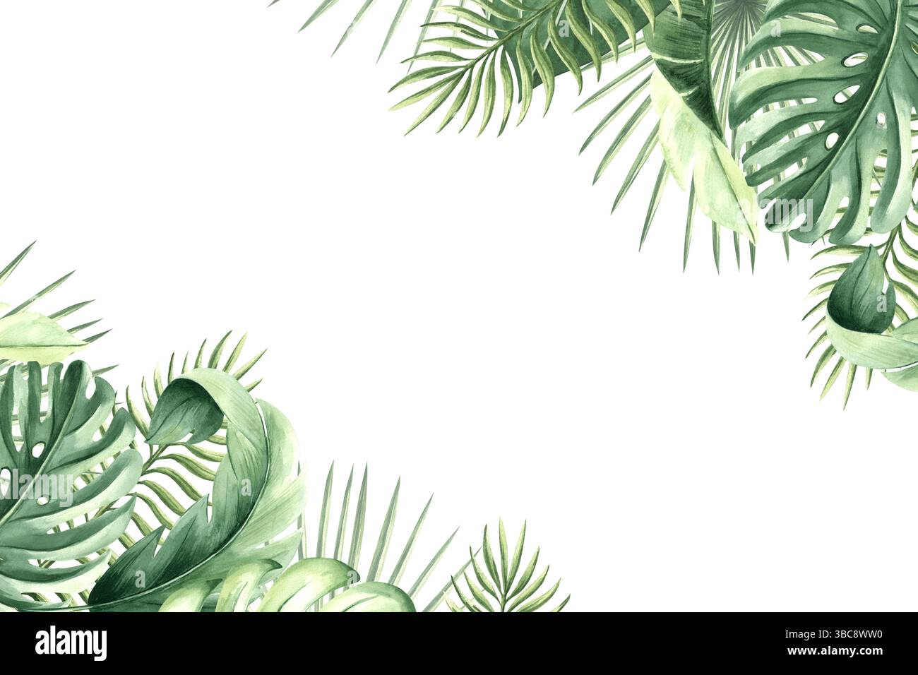 Aquarellrahmen von tropischen Palmblättern isoliert. Postkartenschablone aus exotischer Pflanze. Handgezeichnete grüne Laubmonstera in realistisch Stockfoto