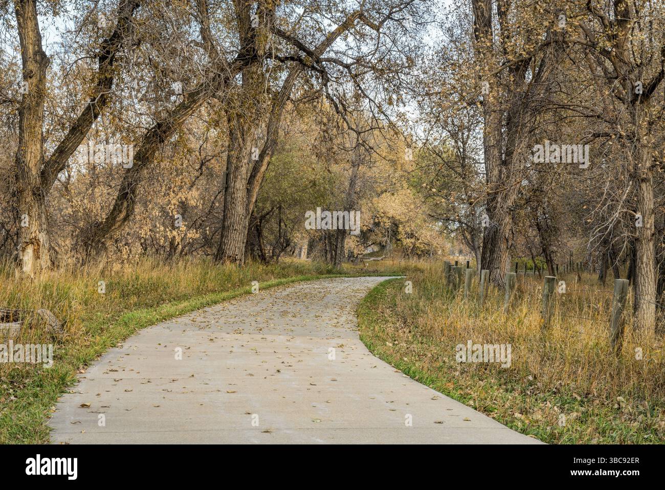 Radweg in der Umgebung des späten Herbstes entlang des Poudre River im Norden von Colorado Stockfoto