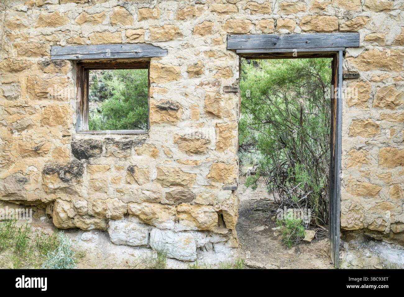 Von Tamarisken bewachsene Hausruinen in der Geisterstadt Sego in Book Cliffs im Osten Utahs Stockfoto
