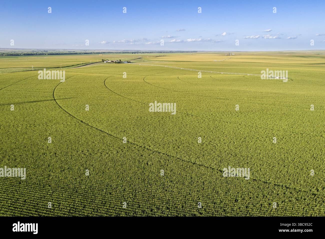 Luftaufnahme des Maisfeldes mit Sprinkler-, Silos- und Farmgebäuden im Osten von Colorado Stockfoto