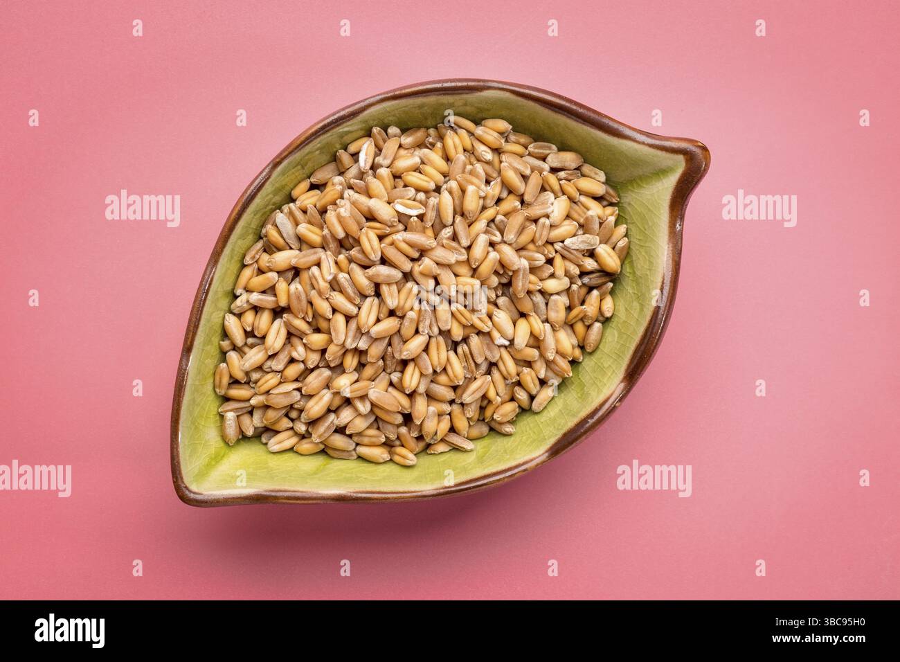 Harter roter Winterweizen in einer blattförmigen Keramikschale auf rosafarbenem Hintergrund Stockfoto