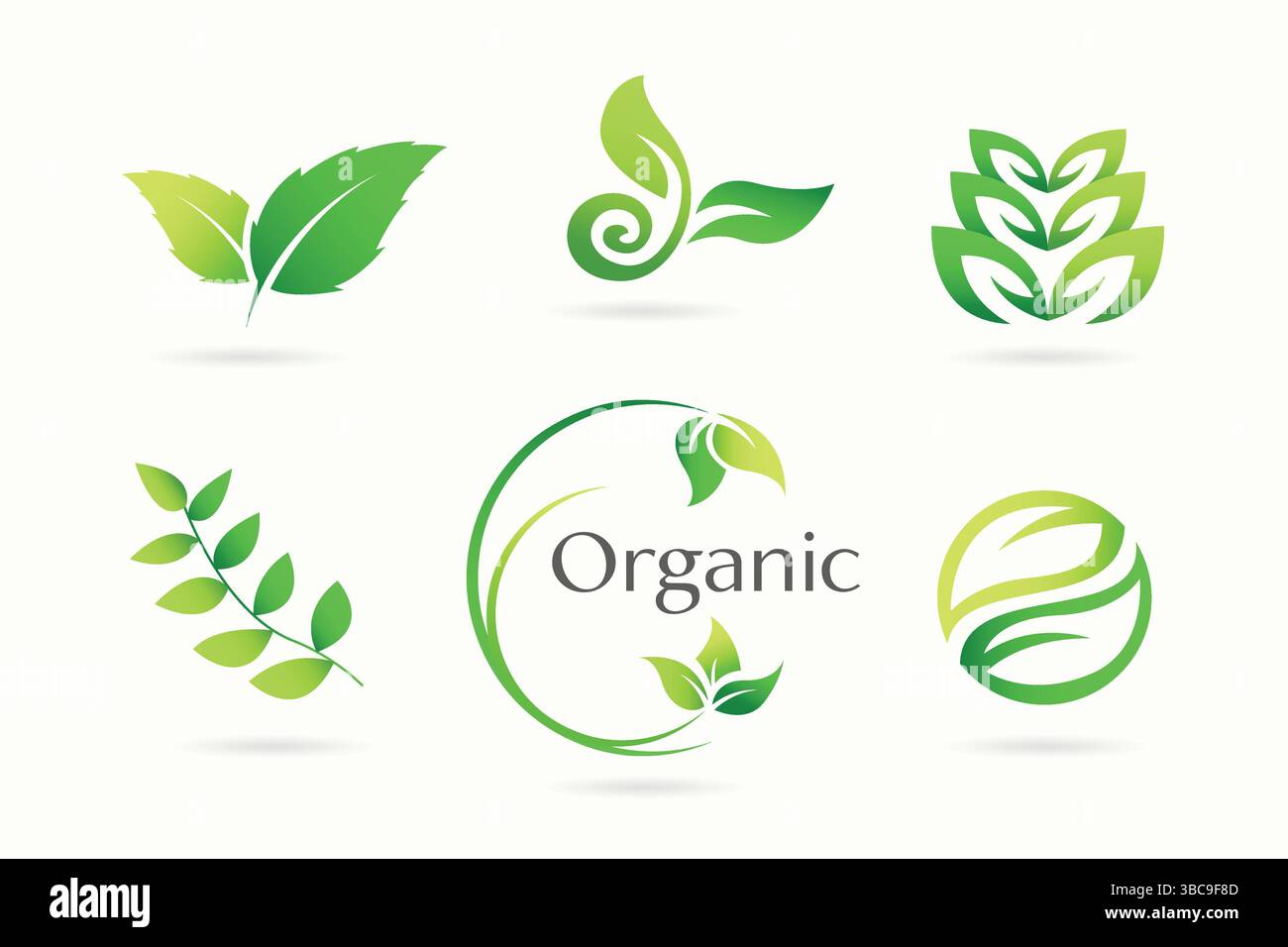 Green Leaf Garden, botanisches und Bio-Logo-Set. Stock Vektor