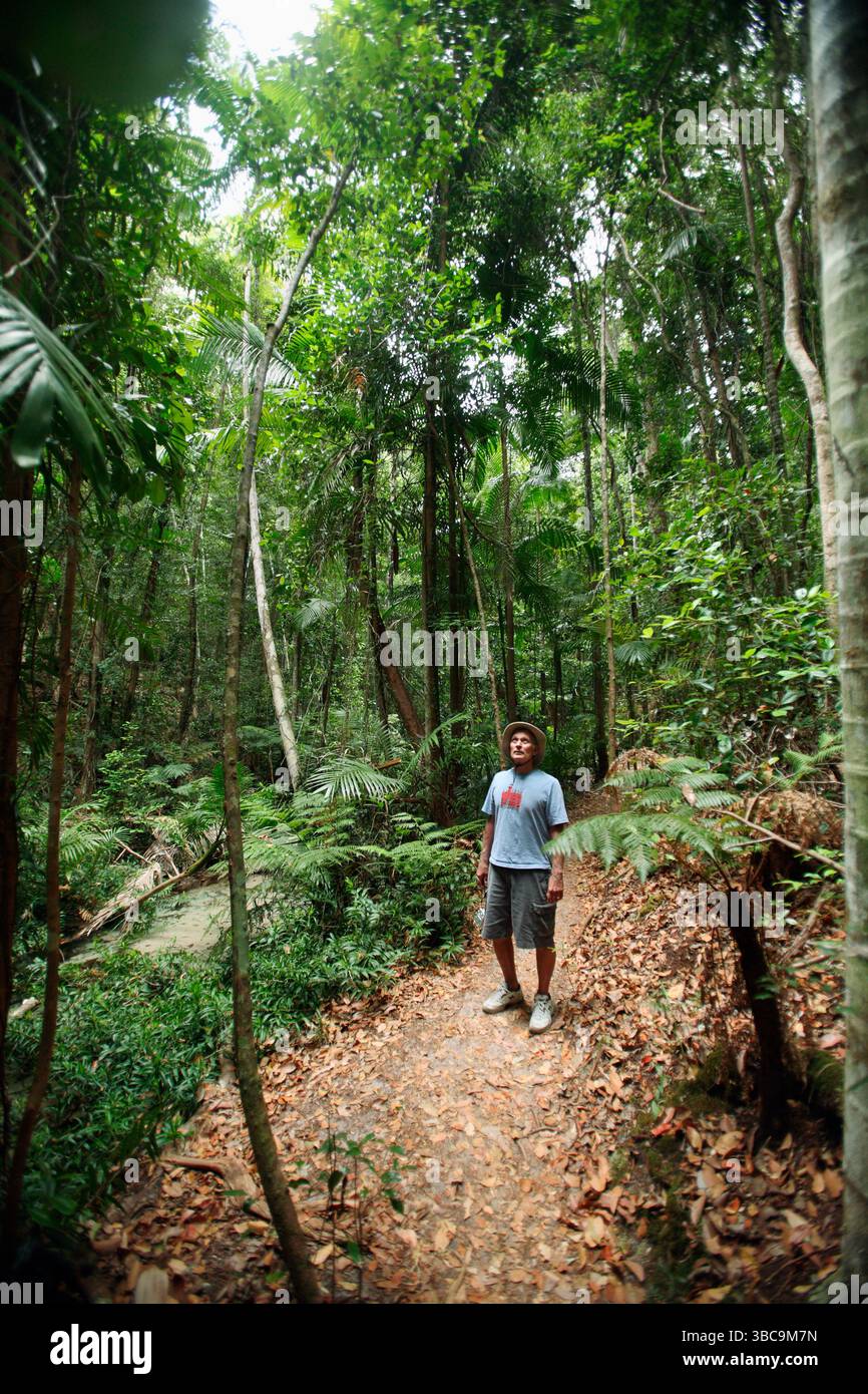 Besucher spazieren durch den Regenwald auf Fraser Island, Australien. Stockfoto