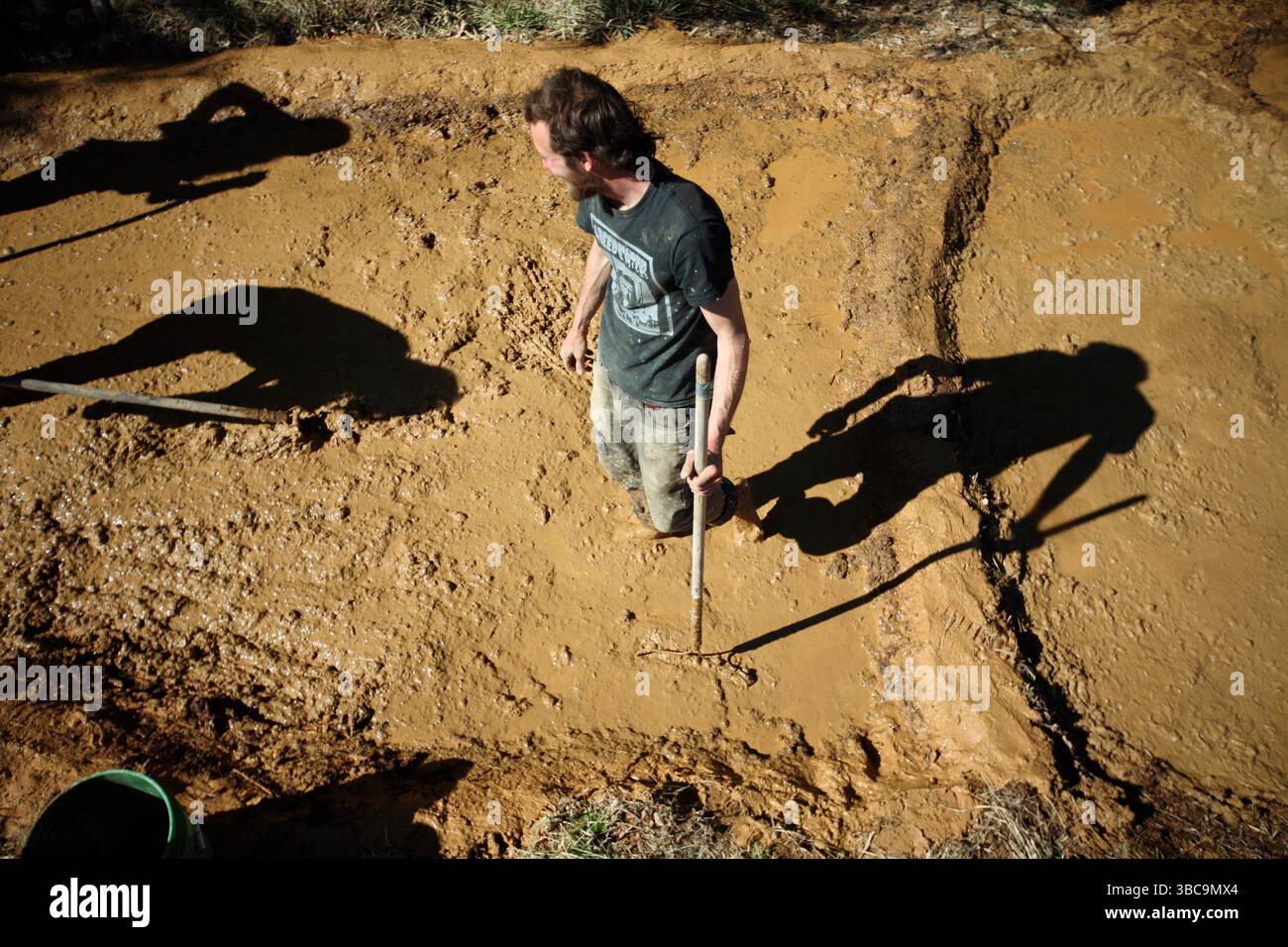 Bauern, die im Schlamm graben, um Reisfelder zu kreieren. Stockfoto