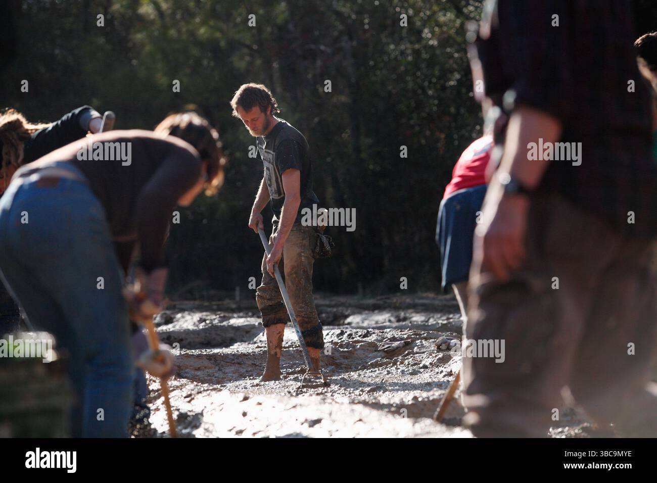 Bauern, die im Schlamm graben, um Reisfelder zu kreieren. Stockfoto