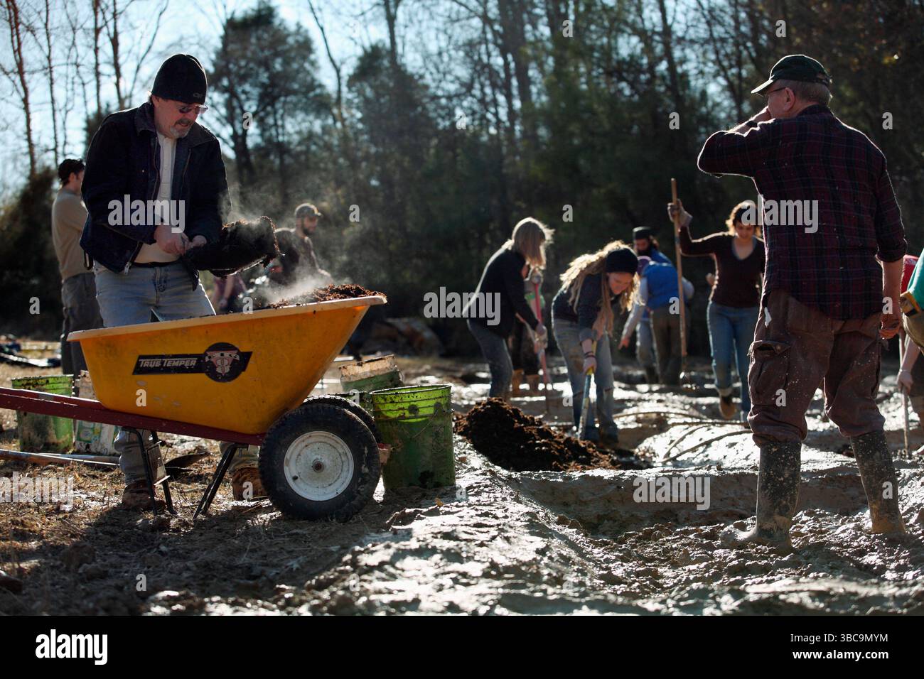Bauern, die im Schlamm graben, um Reisfelder zu kreieren. Stockfoto
