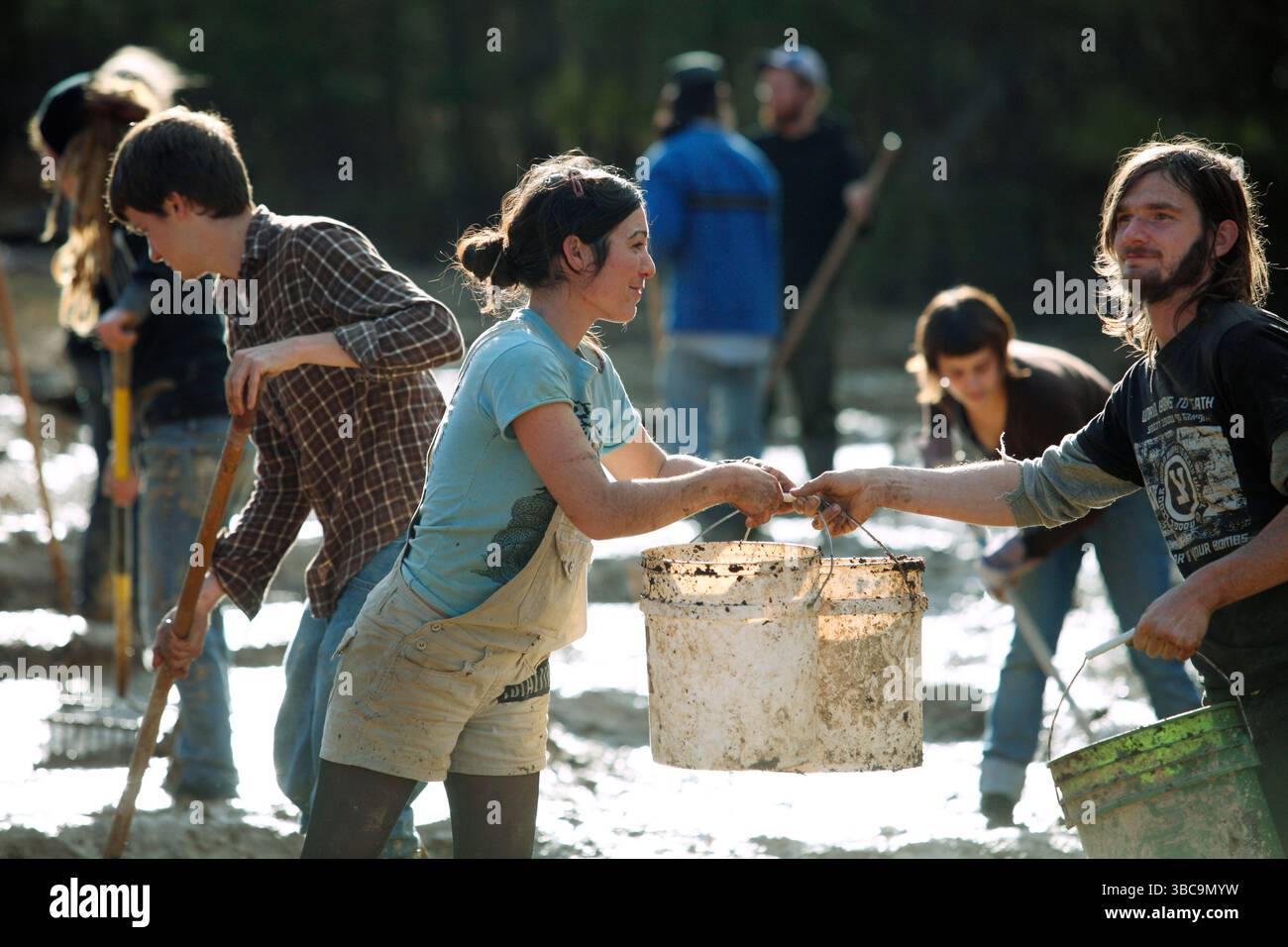 Bauern, die im Schlamm graben, um Reisfelder zu kreieren. Stockfoto