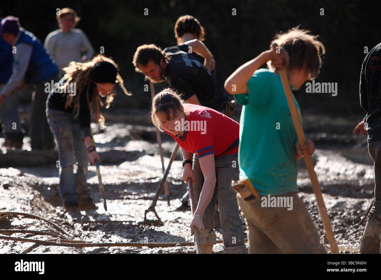 Bauern, die im Schlamm graben, um Reisfelder zu kreieren. Stockfoto