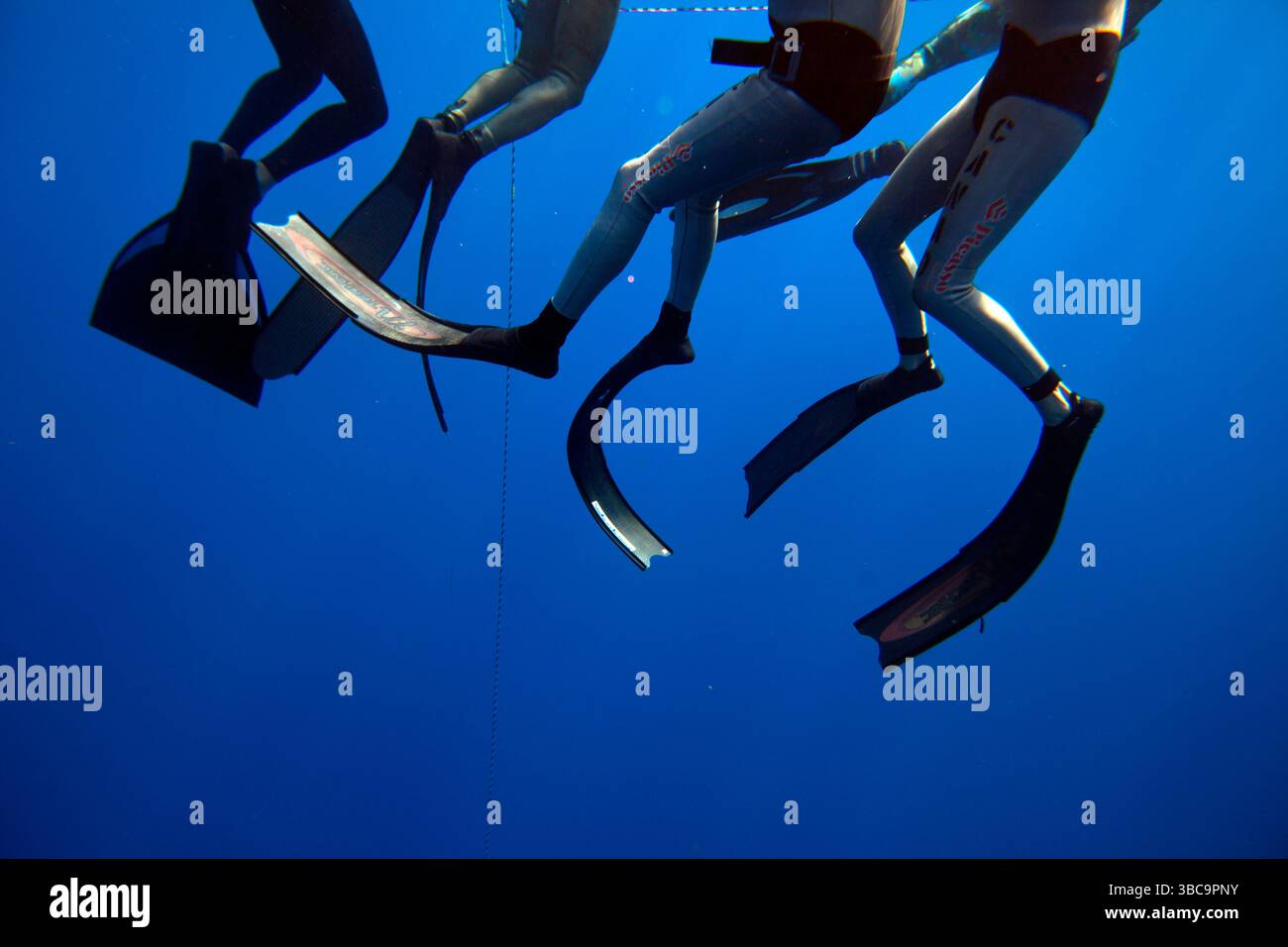 Das Personal richtet die Tauchplattformen, roten Sicherheitsschwimmer, Tauchlinien und den Wettkampfbereich für den Deja Blue Freediving Competition ein. Stockfoto