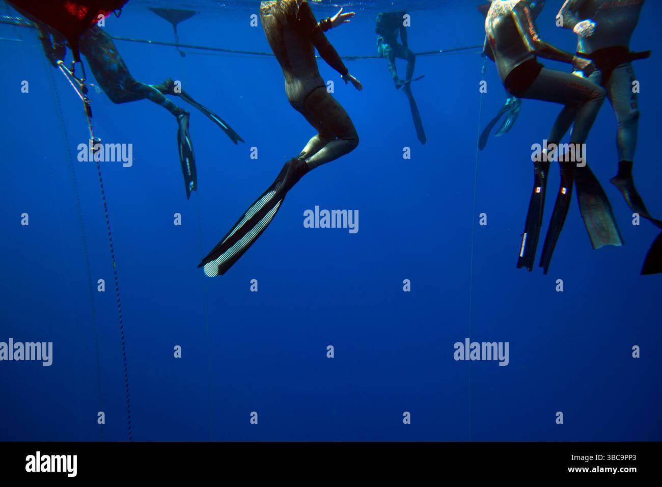 Das Personal richtet die Tauchplattformen, roten Sicherheitsschwimmer, Tauchlinien und den Wettkampfbereich für den Deja Blue Freediving Competition ein. Stockfoto