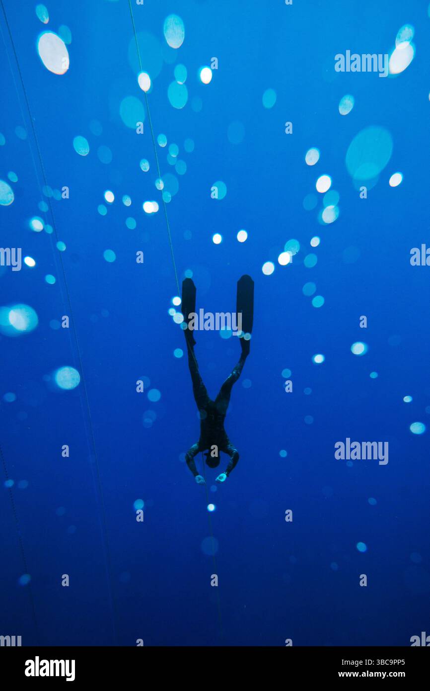 Personal und Sicherheitstaucher gewöhnen sich mit Pulldowns und üben Tauchgänge rund um den Wettkampfbereich - Plattformen, rote Sicherheitsschwimmer und Tauchlinien - vor dem Start der Deja Blue Stockfoto