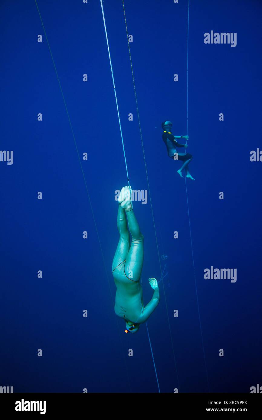 Personal und Sicherheitstaucher gewöhnen sich mit Pulldowns und üben Tauchgänge rund um den Wettkampfbereich - Plattformen, rote Sicherheitsschwimmer und Tauchlinien - vor dem Start der Deja Blue Stockfoto