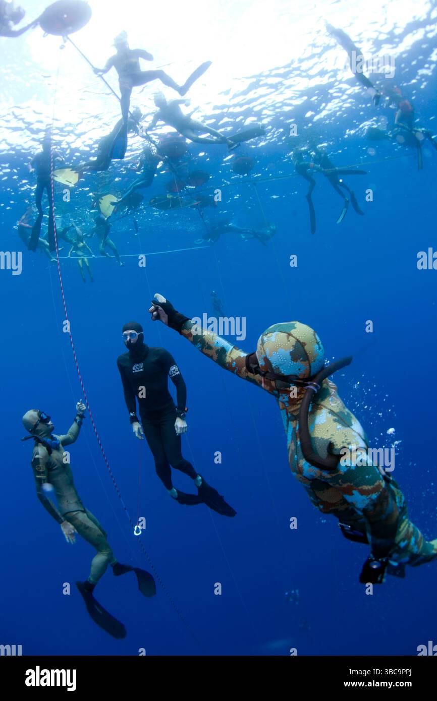 Sicherheitstaucher weisen die Wettbewerber an, damit sie beim Aufstieg keine Richter oder die Aufstiegsstation treffen. Stockfoto