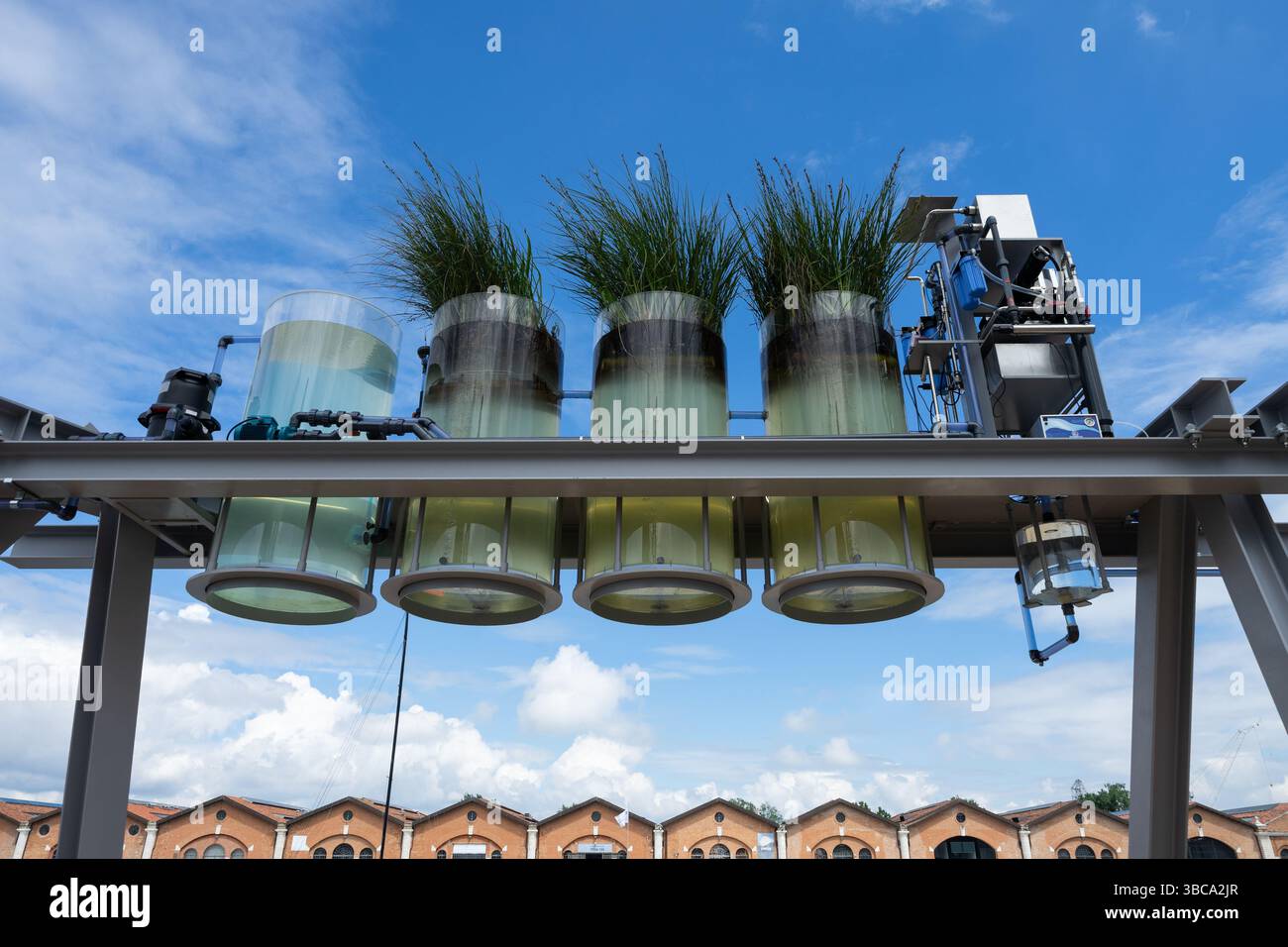 Diller Scofidio + Renfro, Canal Cafe Installation, Venice Arsenale, 19. Venedig Architekturbiennale 2025 Stockfoto