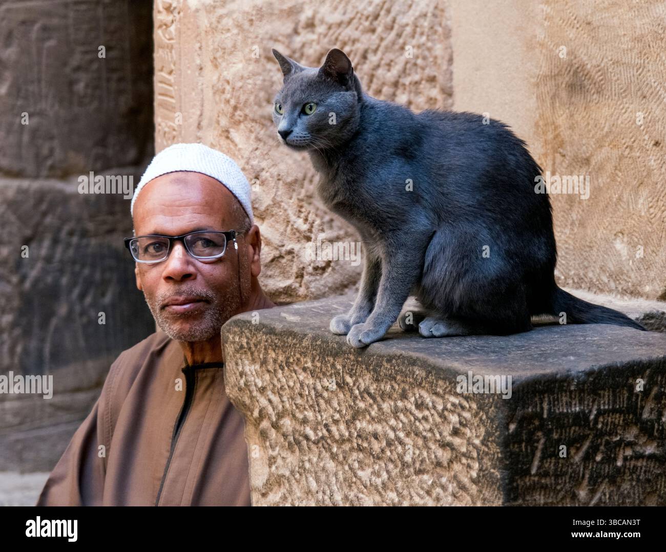 Katze im Philae Tempel, Assuan, Ägypten Stockfoto