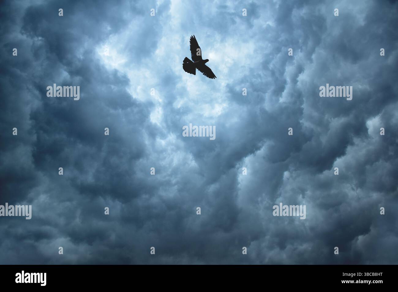 Sturm-Flyer Stockfoto