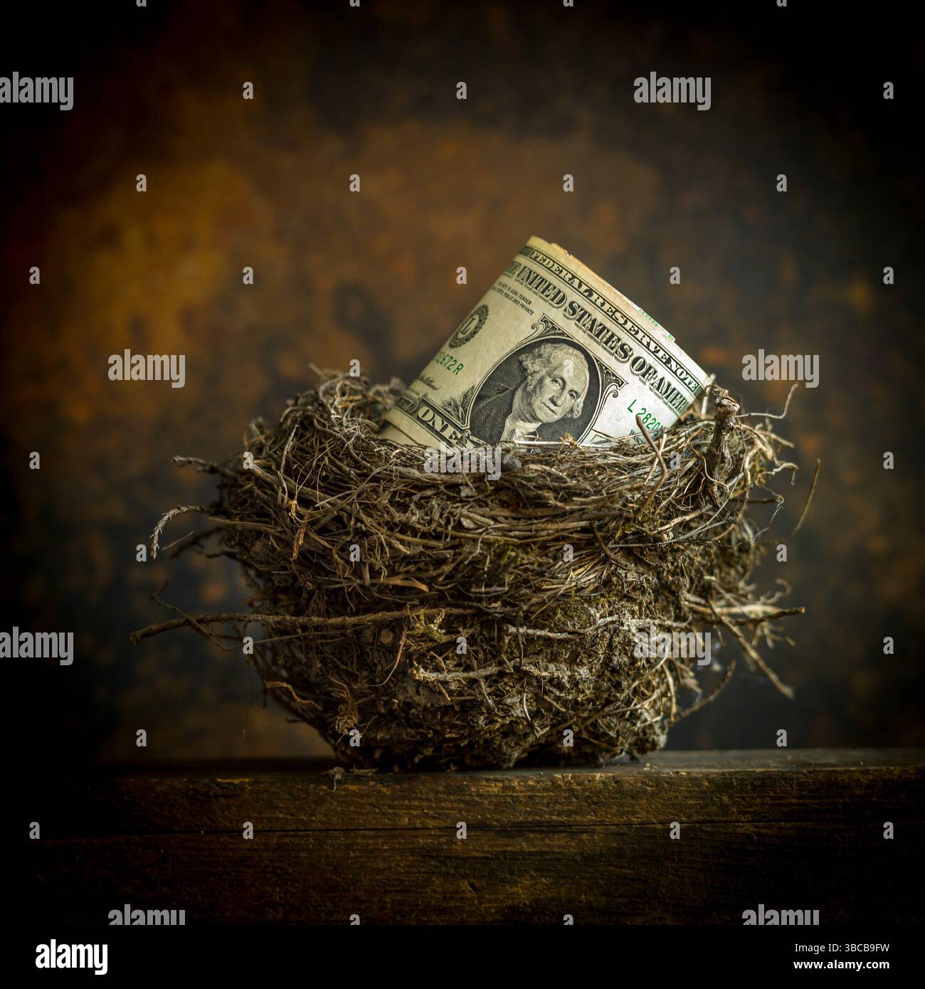 Ein gerollter Dollarschein sitzt bequem in einem natürlichen Nest aus Zweigen und Gras und unterstreicht das Konzept des Sparens und der Pflege von Finanzen. Stockfoto