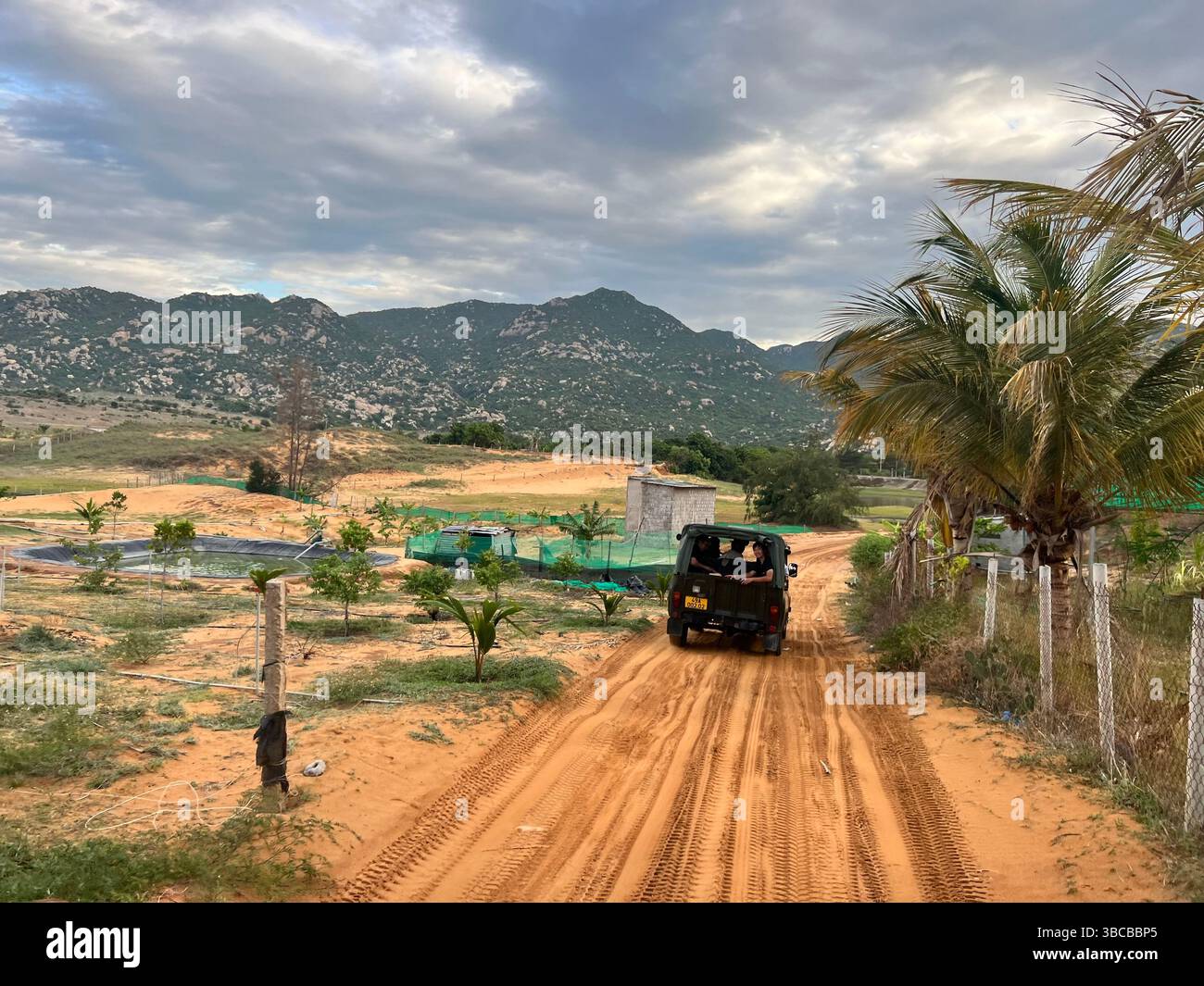 Ein Geländewagen fährt auf einem von Palmen und Zäunen flankierten Sandweg in Richtung der bergigen Kulisse der Dünenregion Vietnams. Stockfoto